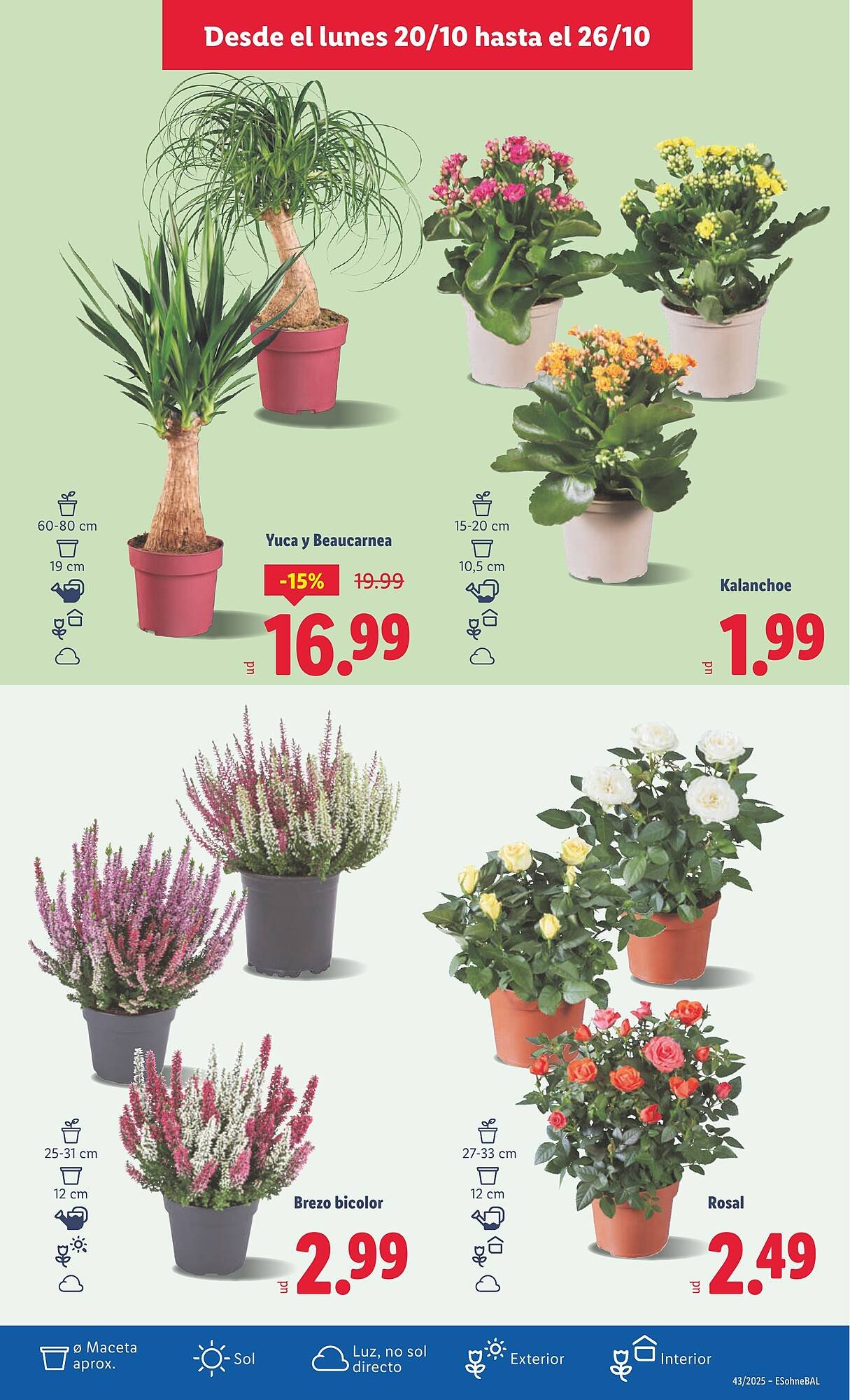 Catálogo Lidl (2025-10-20 - 2025-10-26)
