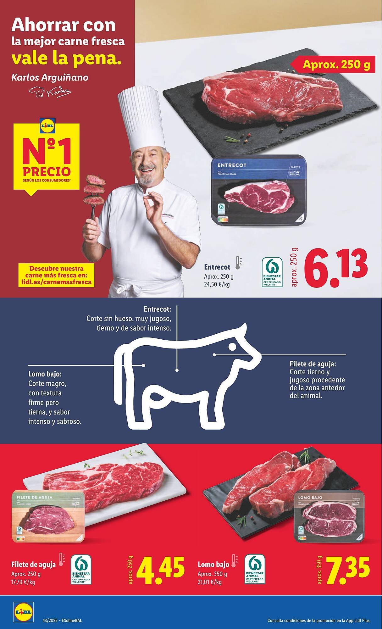 Catálogo Lidl (2025-10-20 - 2025-10-26)