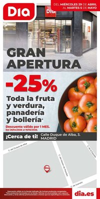 Folleto Dia