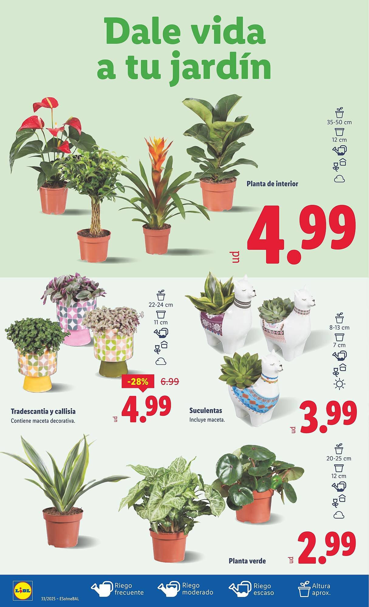 Folleto Lidl (2025-08-11 - 2025-08-17)