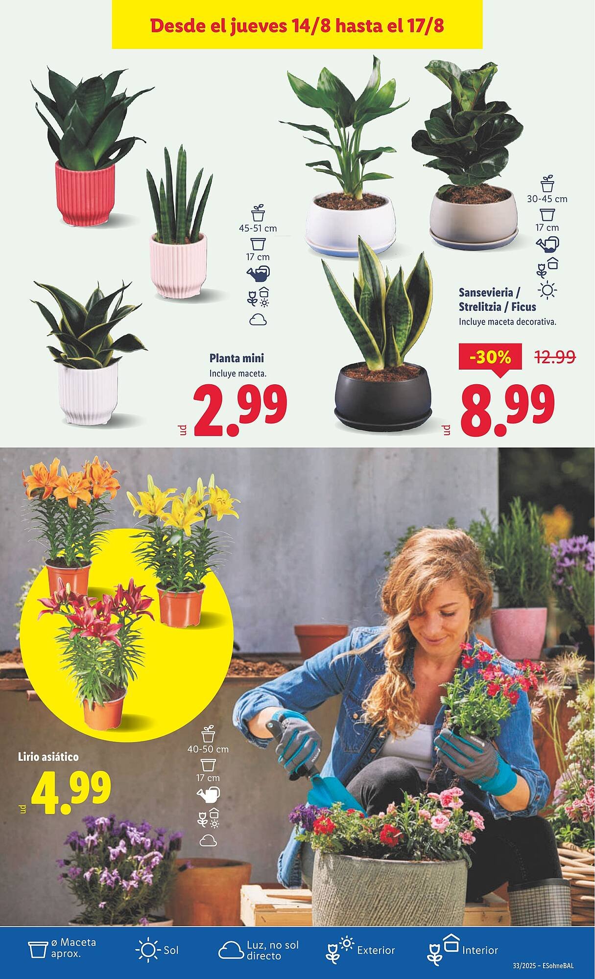 Folleto Lidl (2025-08-11 - 2025-08-17)