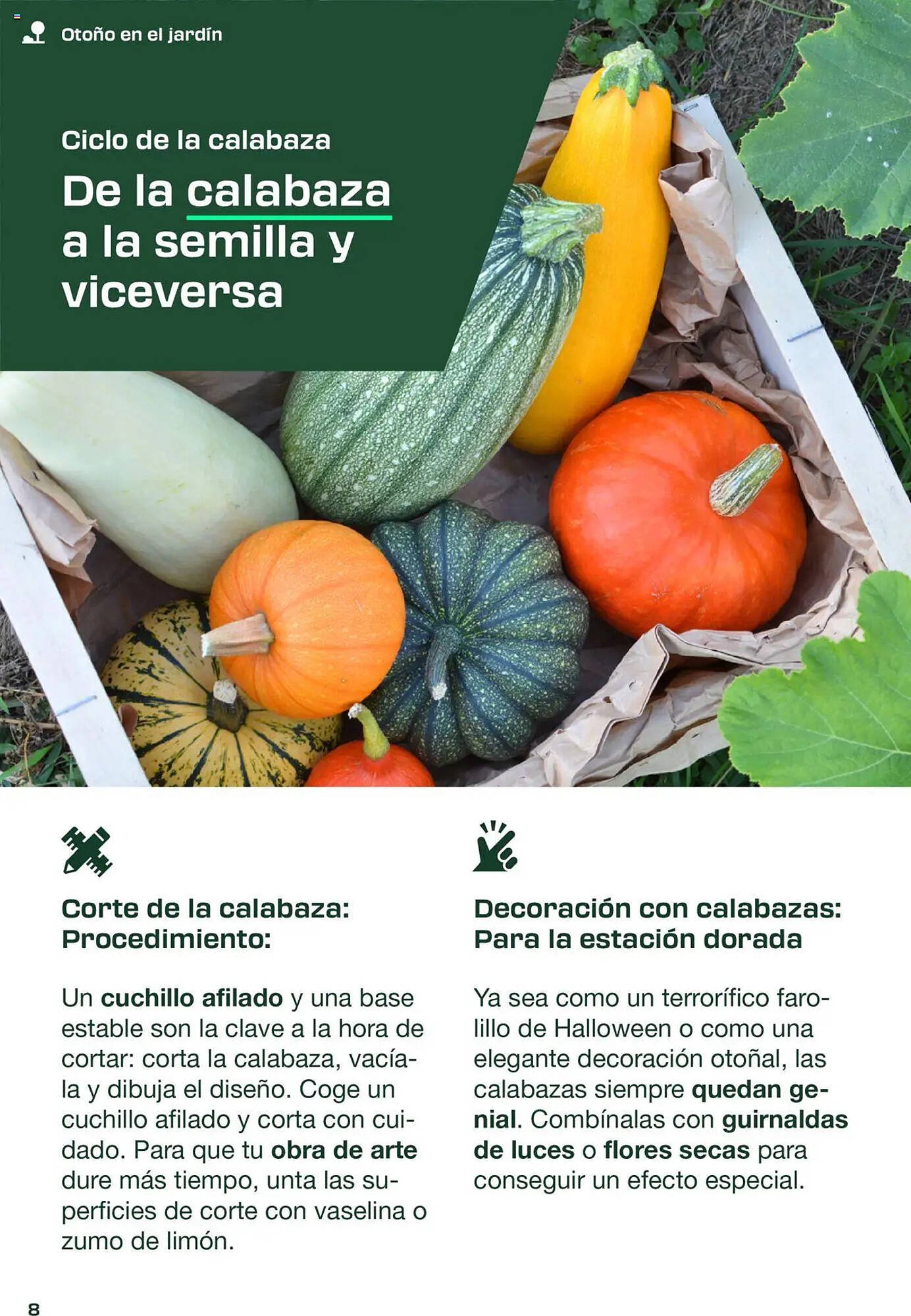 Folleto Lidl (2025-09-01 - 2025-11-30)