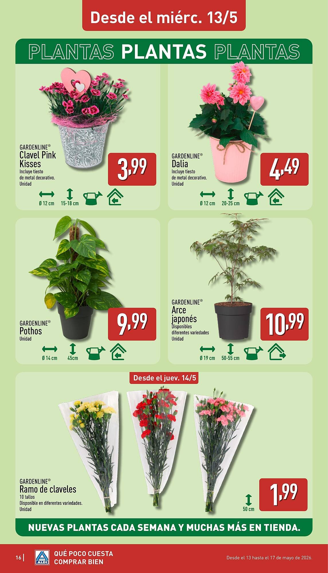 Folleto ALDI