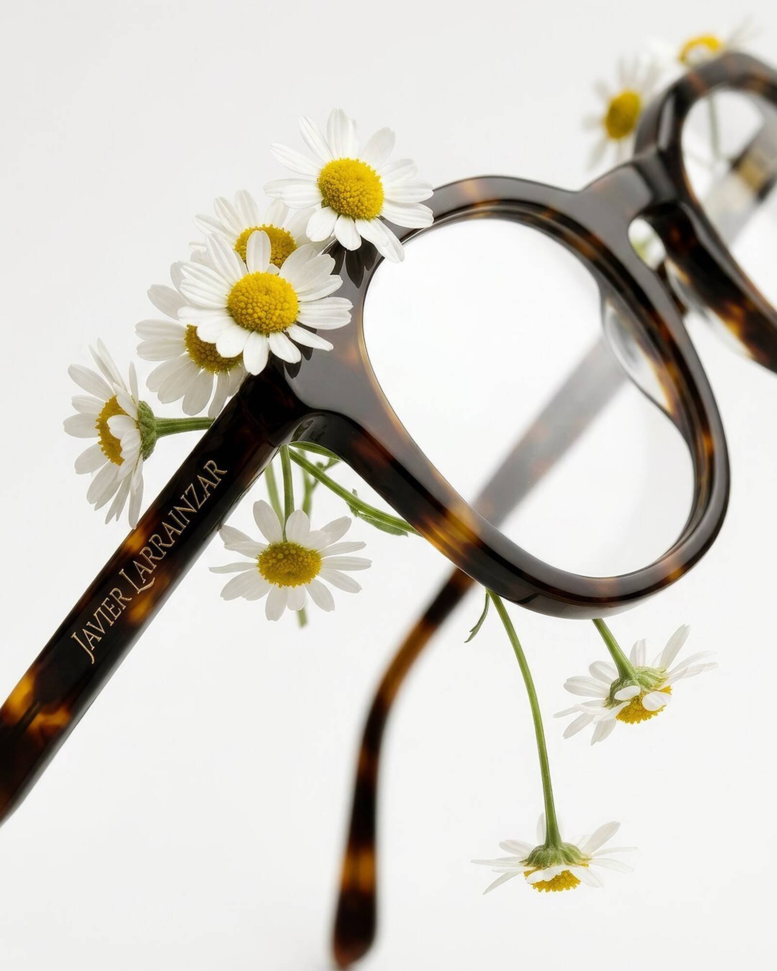 Catálogo Soloptical