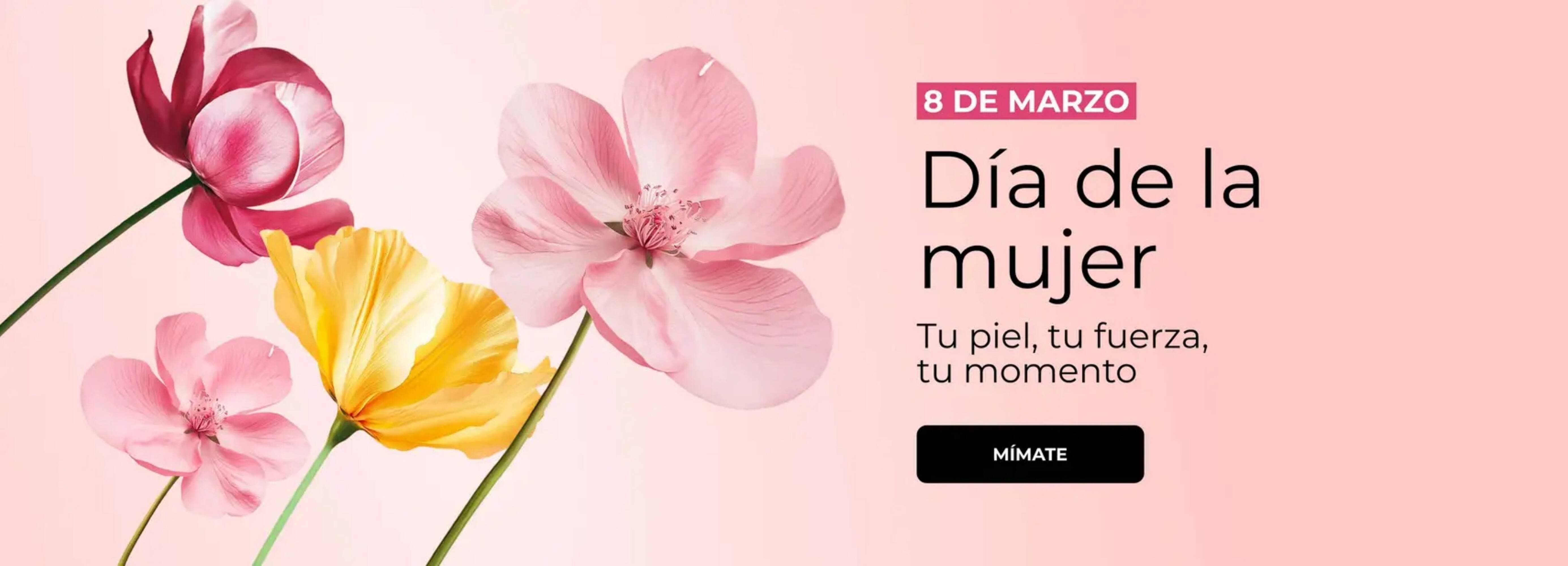 Catálogo Yves Rocher