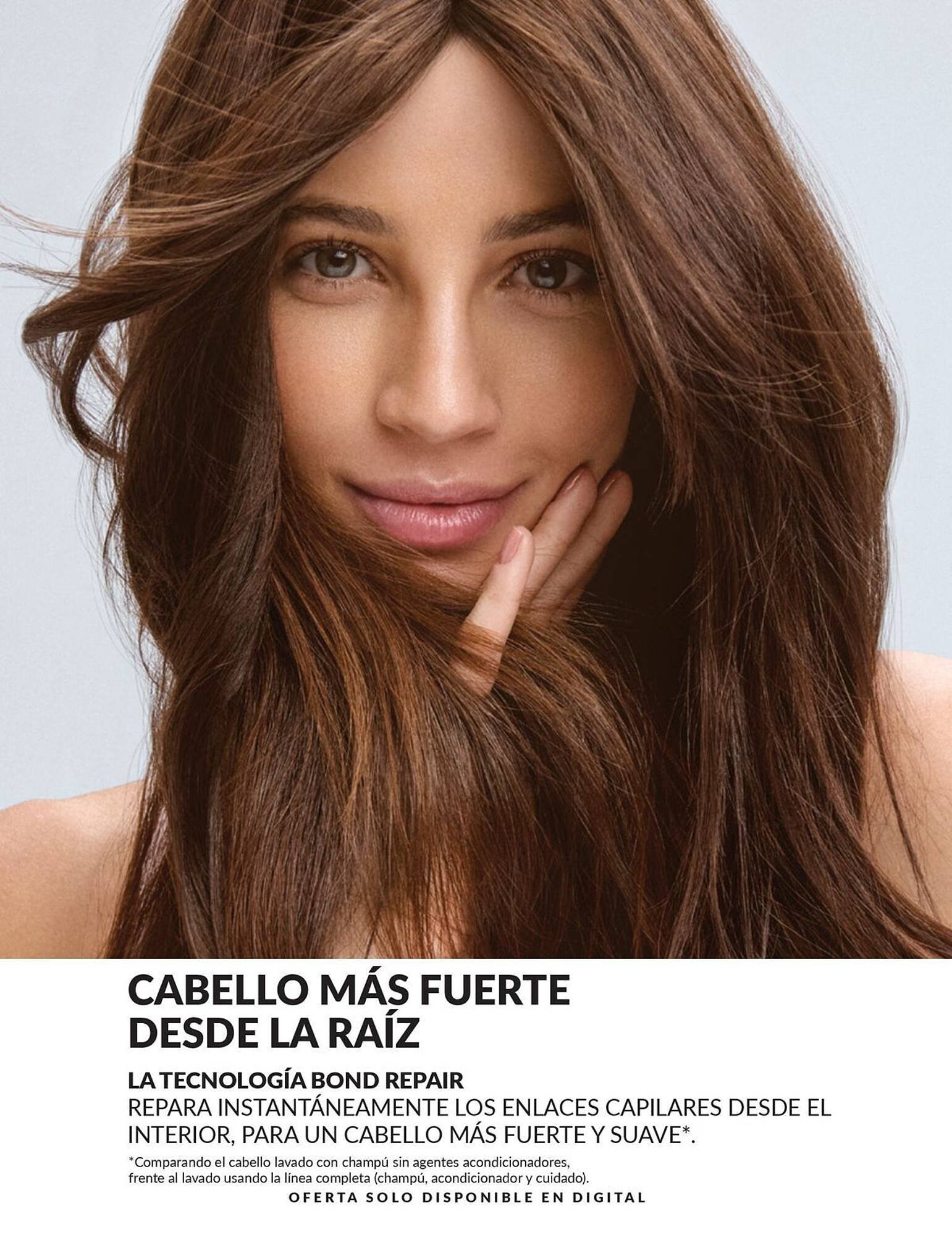 Catálogo AVON