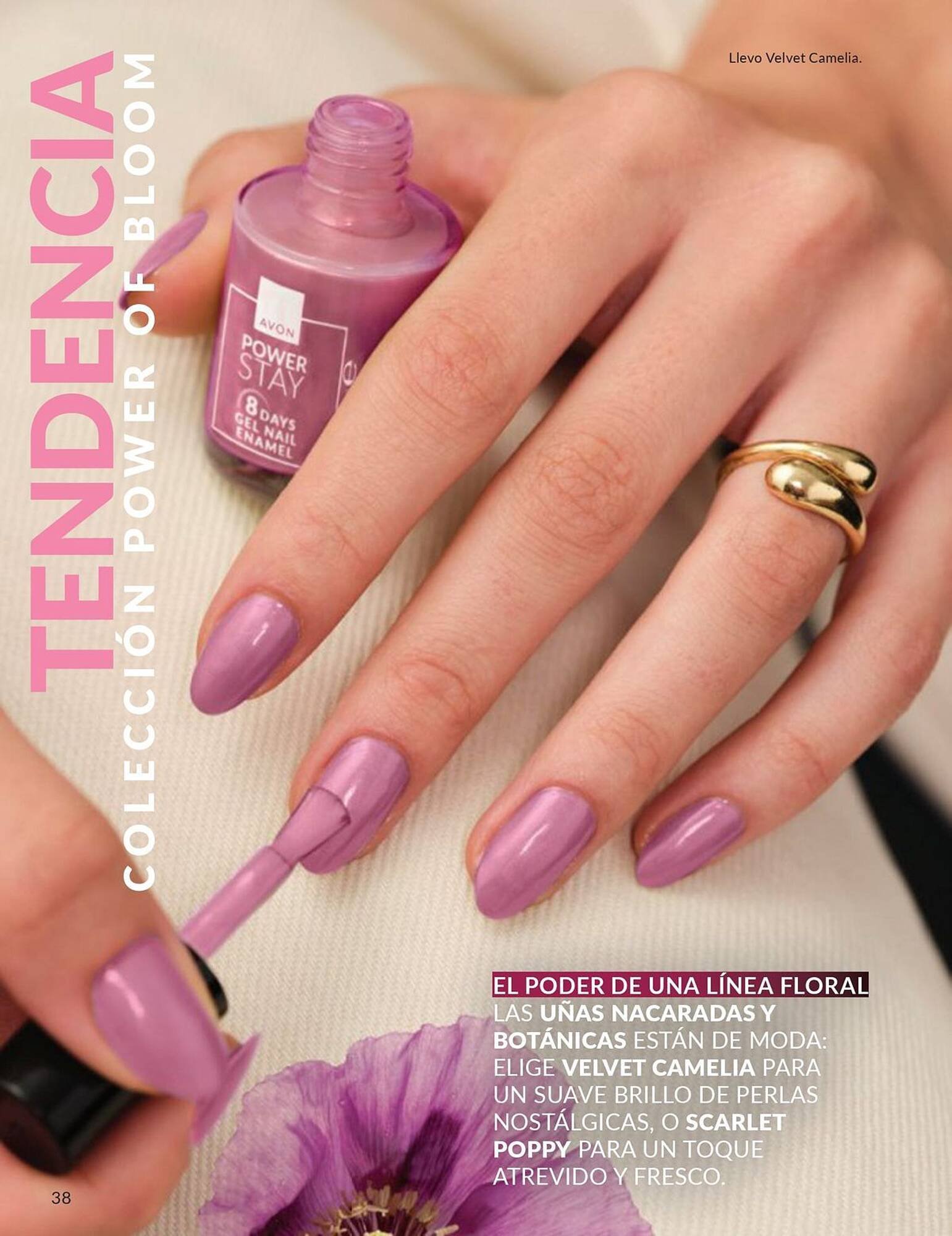 Catálogo AVON