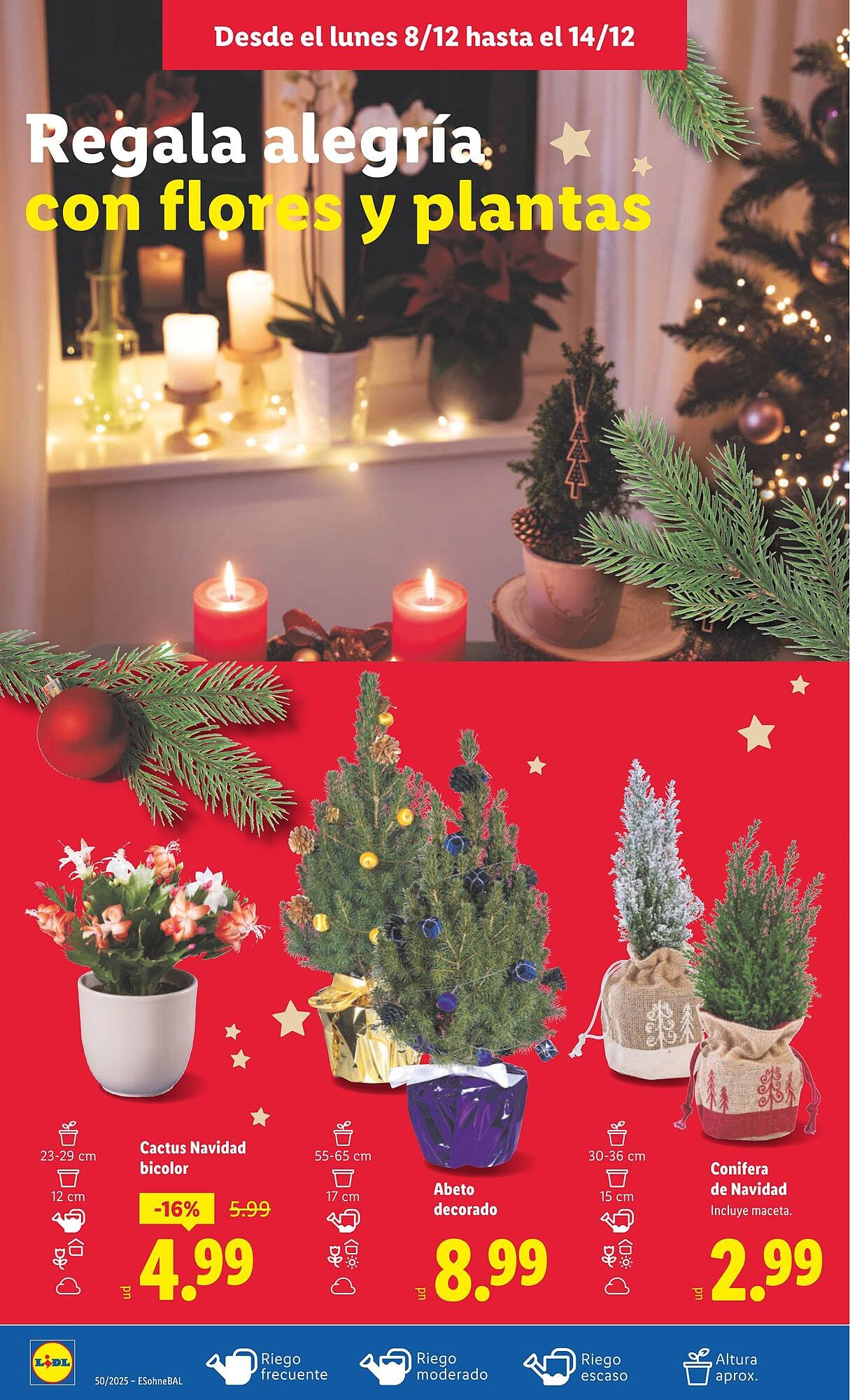 Catálogo Lidl (2025-12-08 - 2025-12-14)