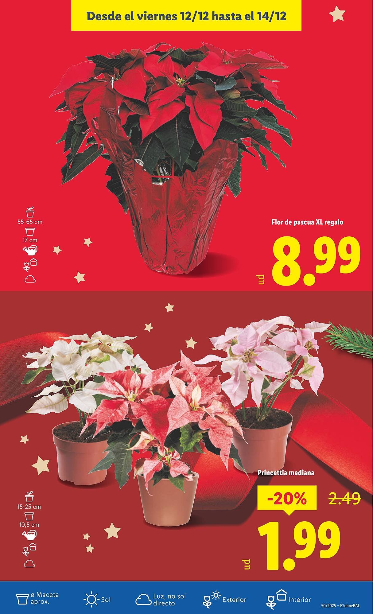 Catálogo Lidl (2025-12-08 - 2025-12-14)