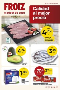 Folleto FROIZ