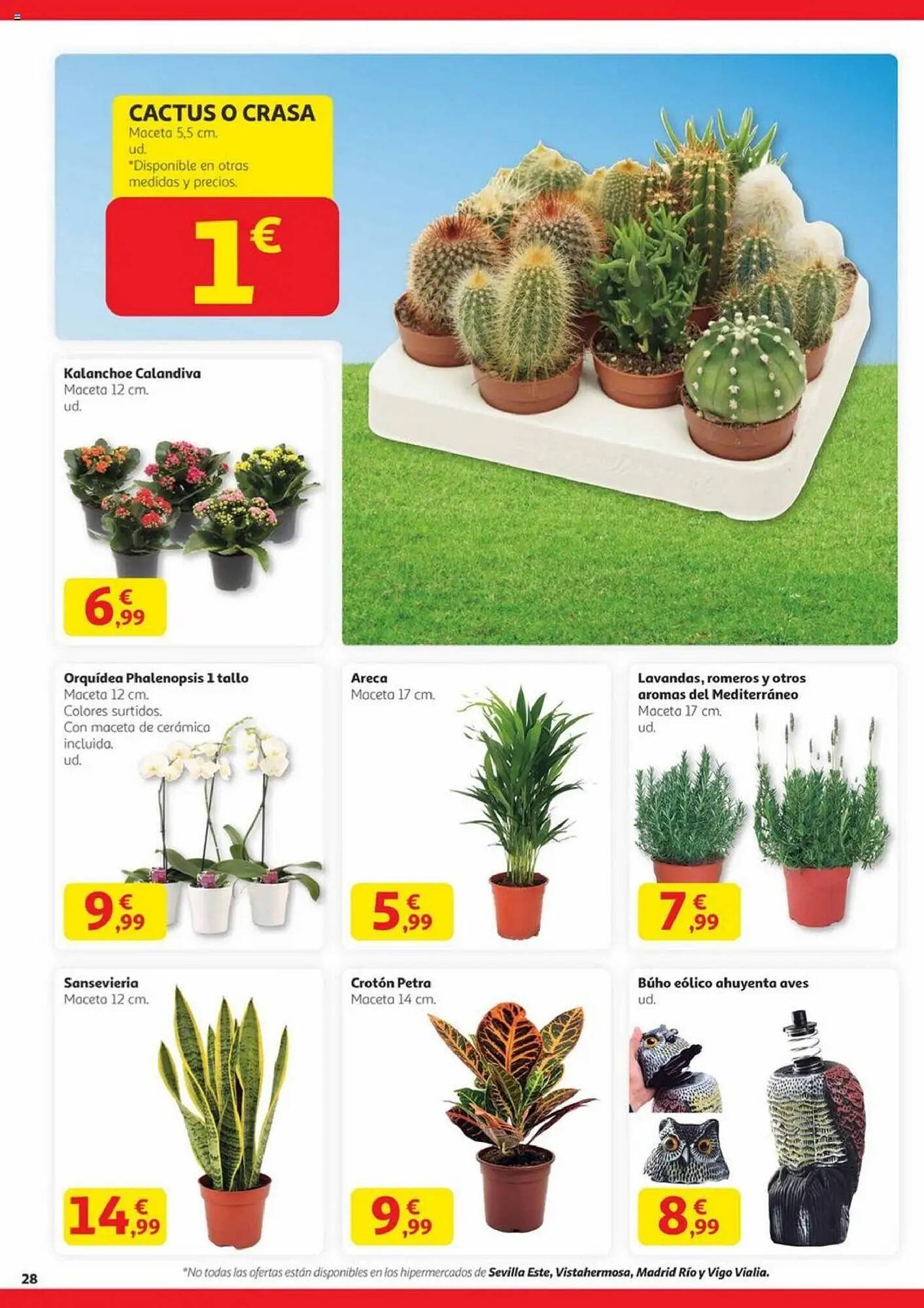Folleto Alcampo (2025-09-11 - 2025-09-24)