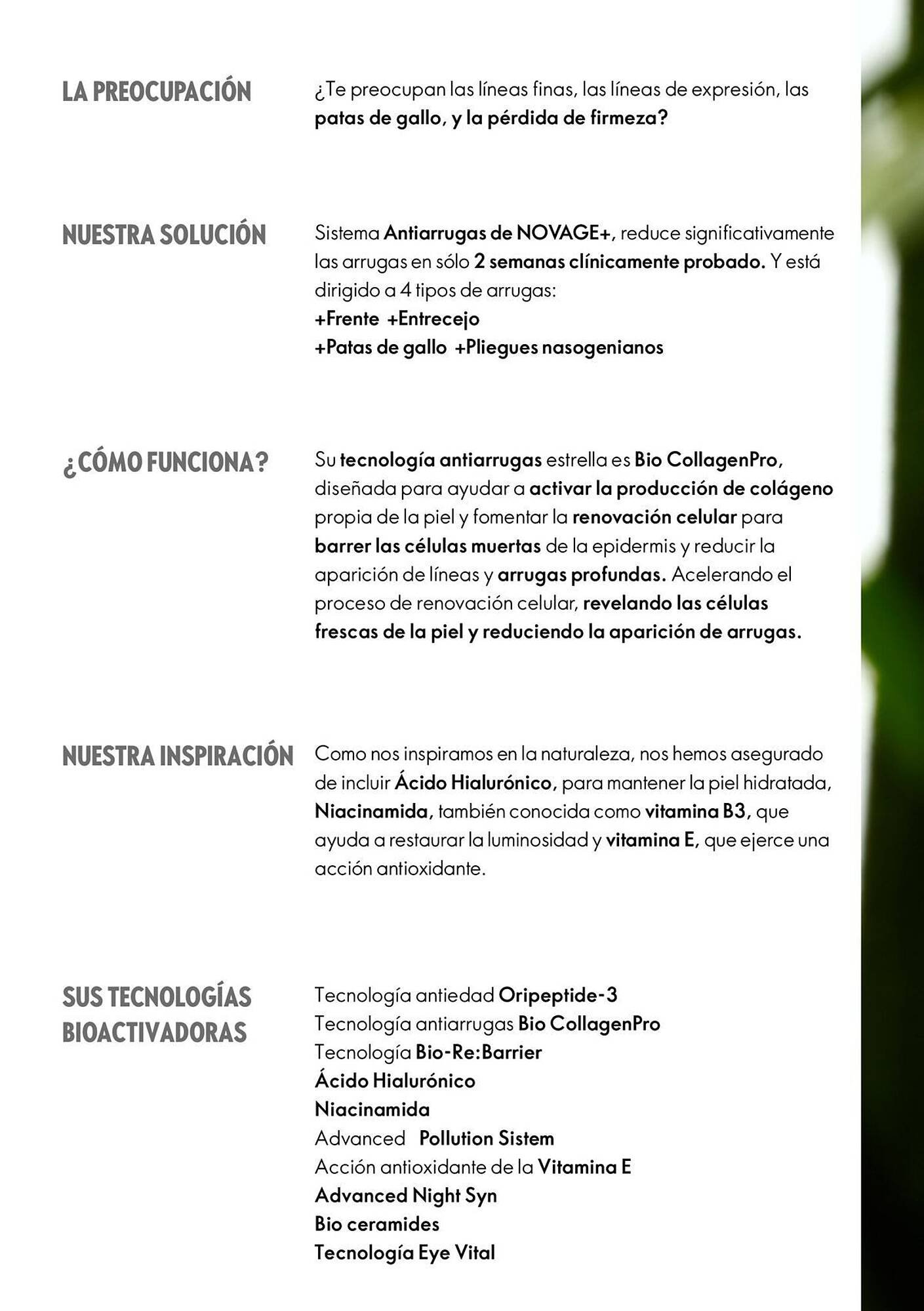 Catálogo Oriflame (2025-09-10 - 2025-12-31)