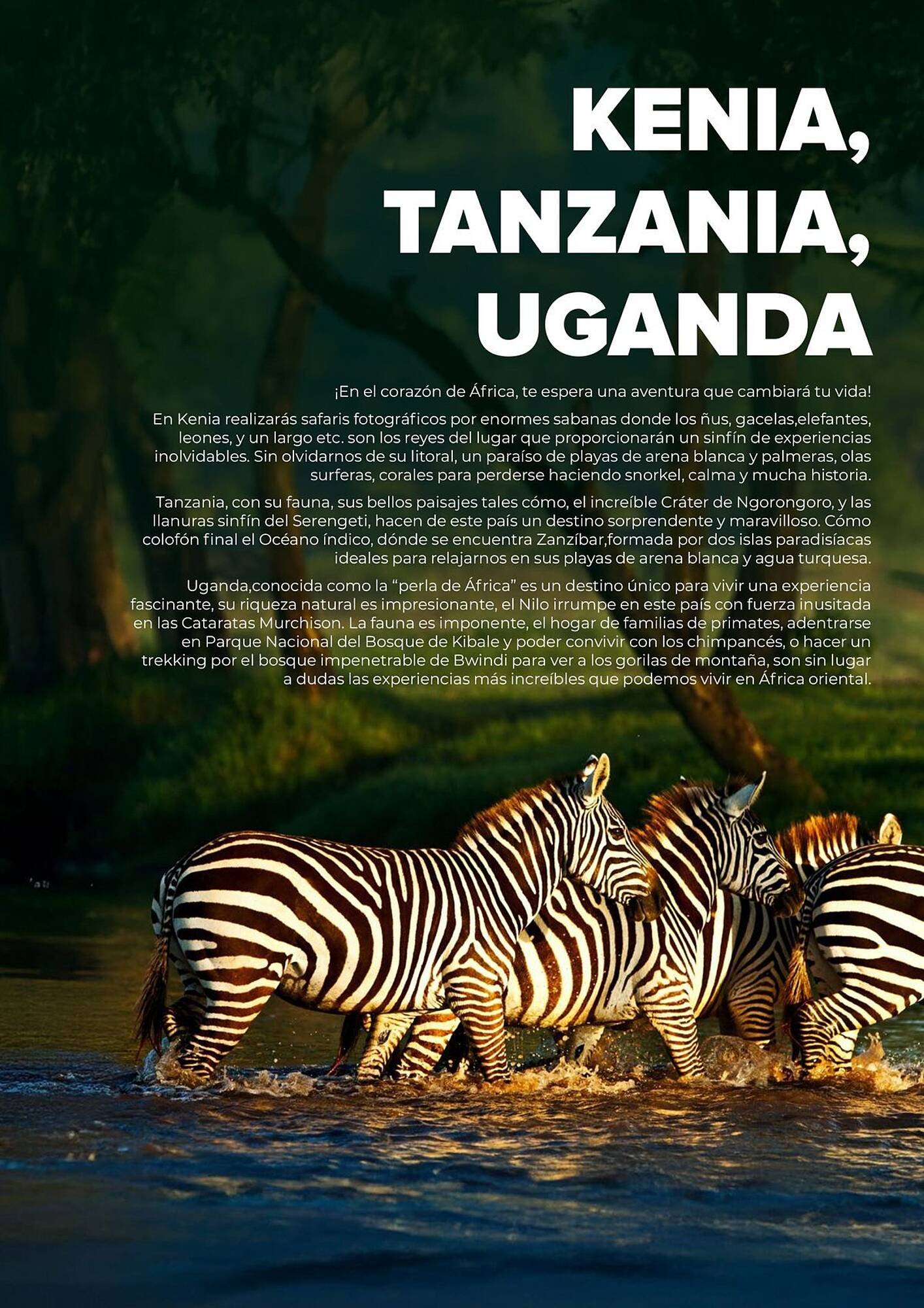 Catálogo Viajes El Corte Inglés