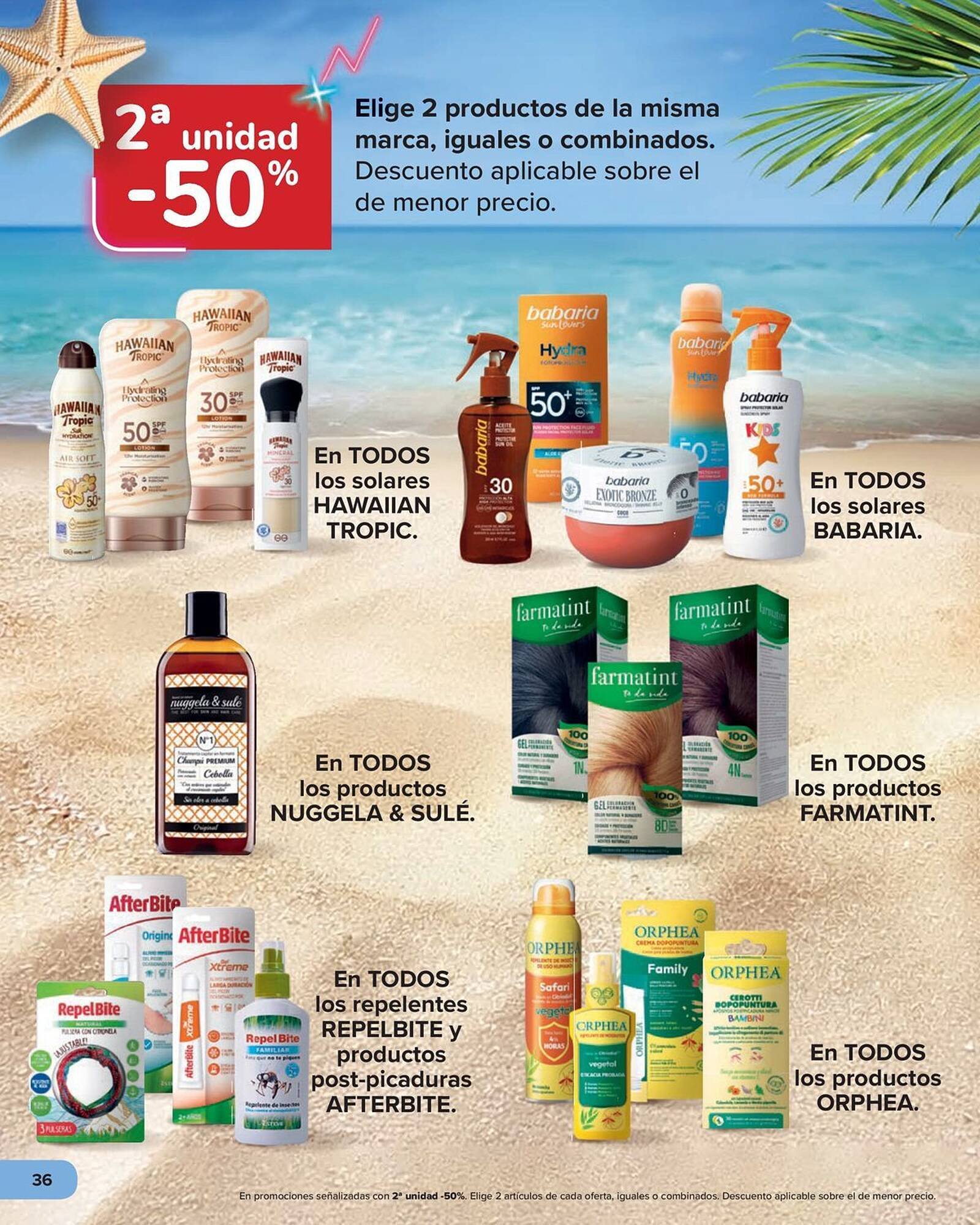 Folleto Carrefour