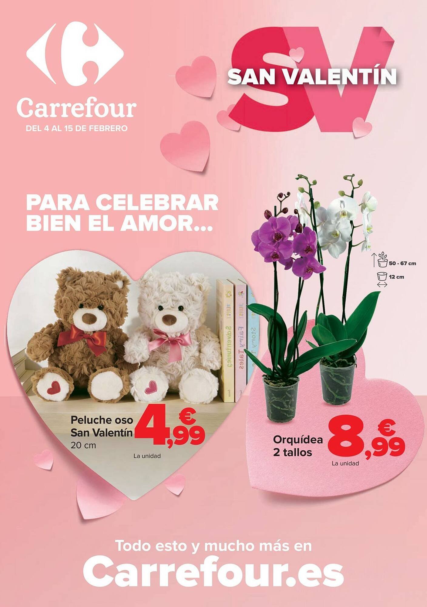 Folleto Carrefour