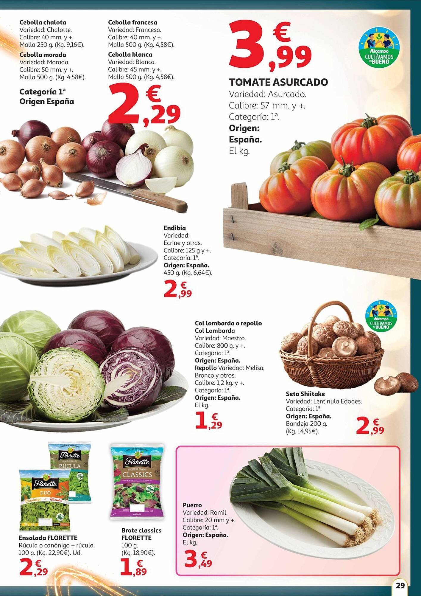 Folleto Alcampo (2025-12-11 - 2025-12-31)