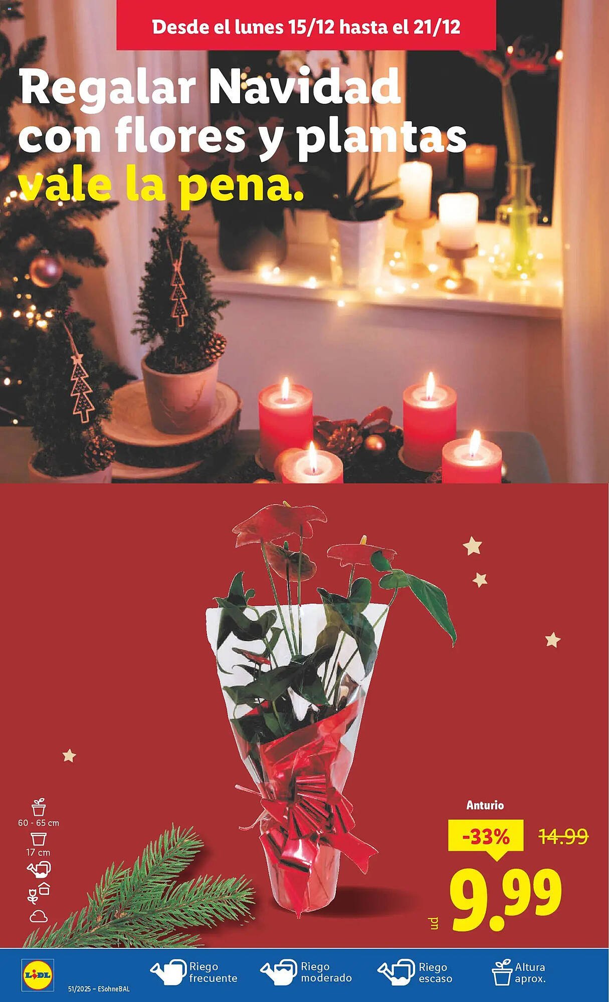 Catálogo Lidl (2025-12-15 - 2025-12-21)