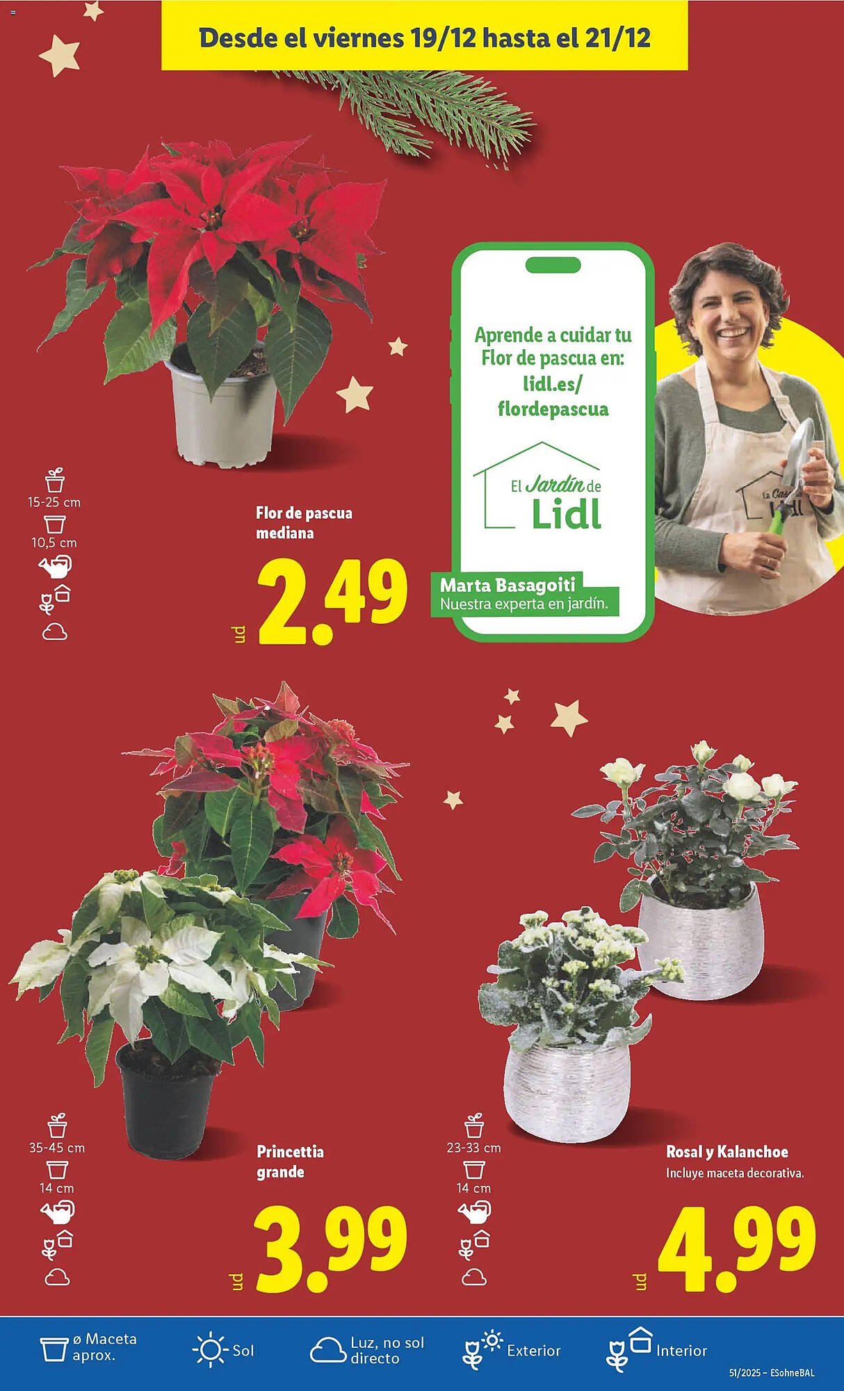 Catálogo Lidl (2025-12-15 - 2025-12-21)