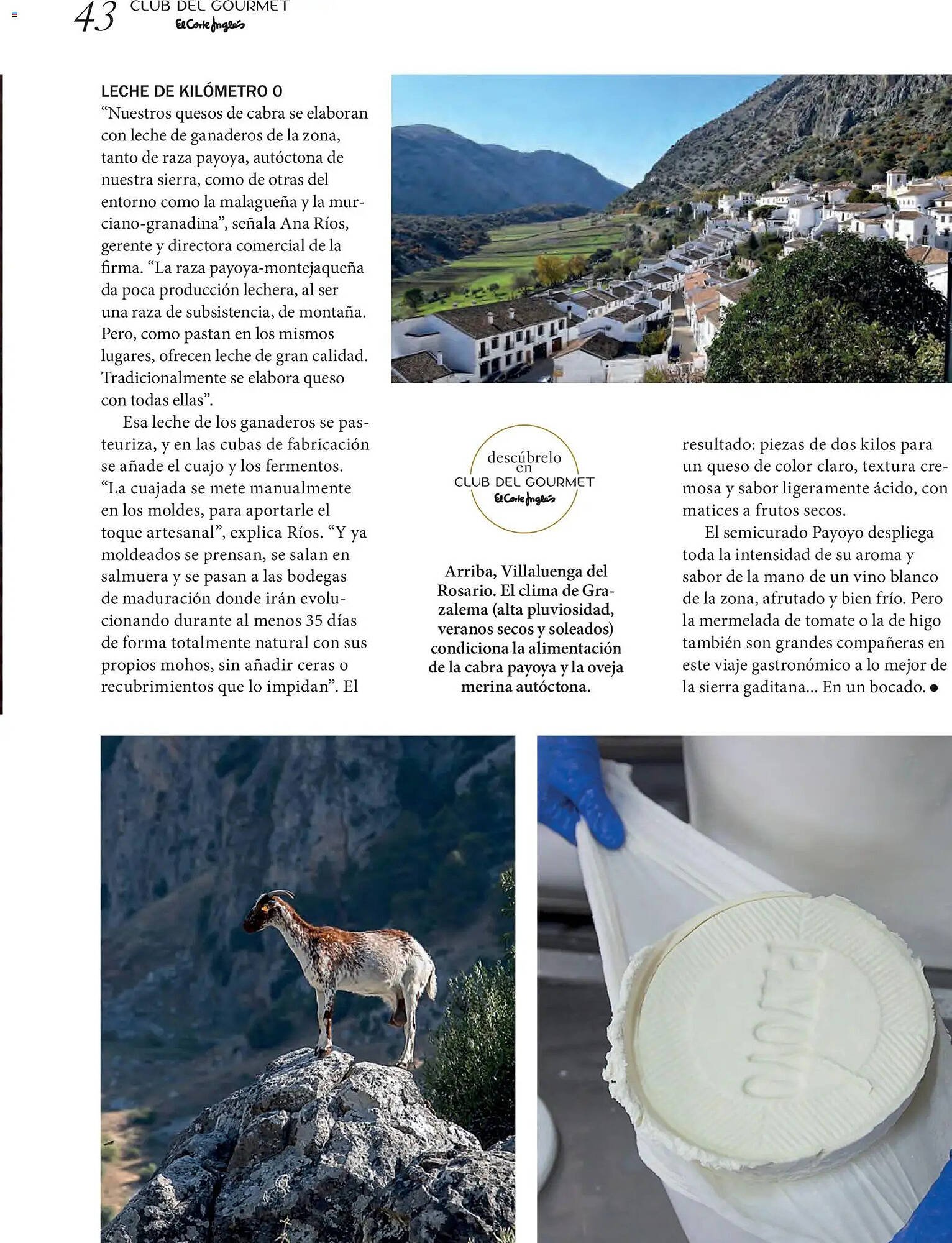 Catálogo El Corte Inglés