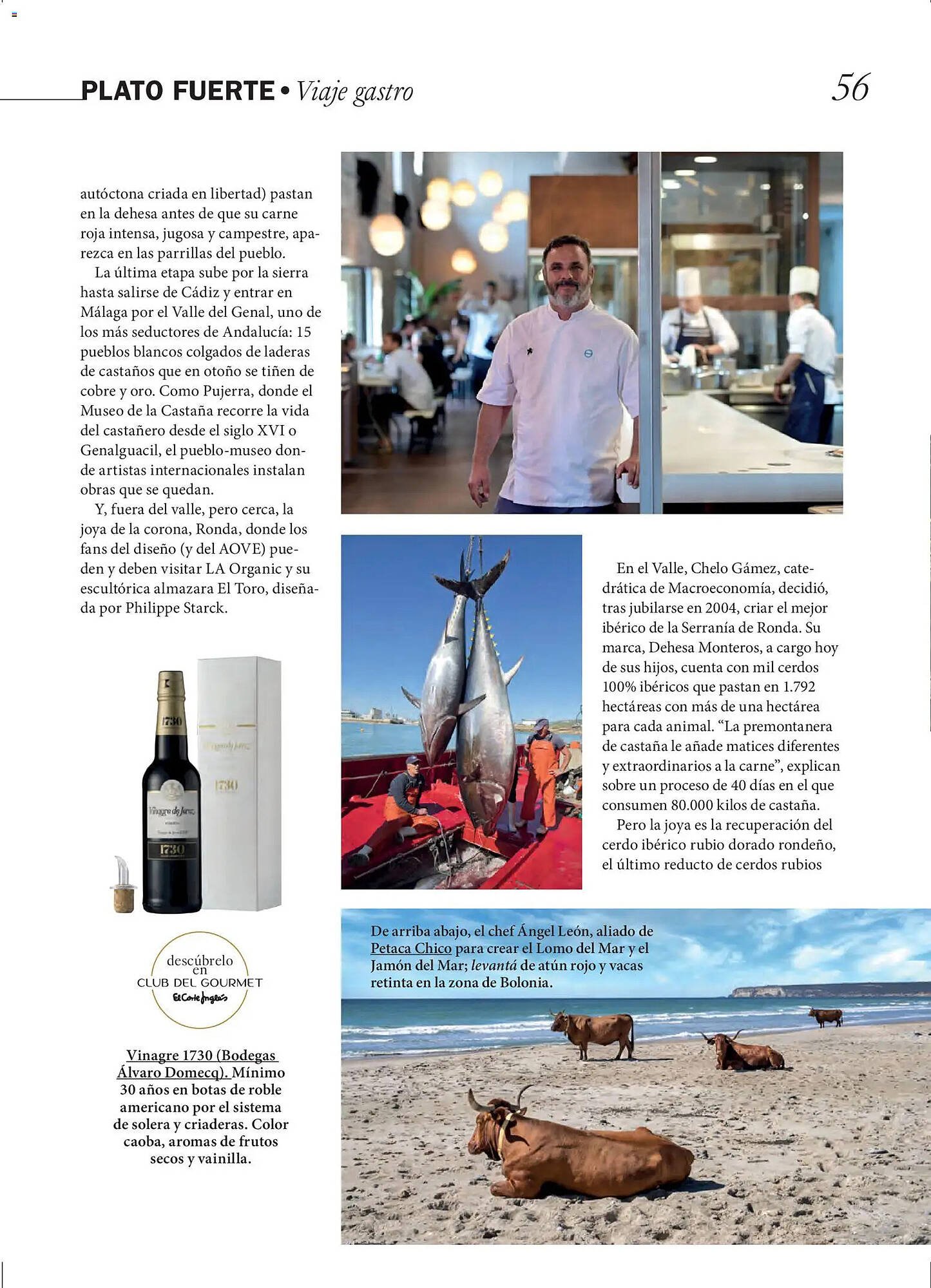 Catálogo El Corte Inglés