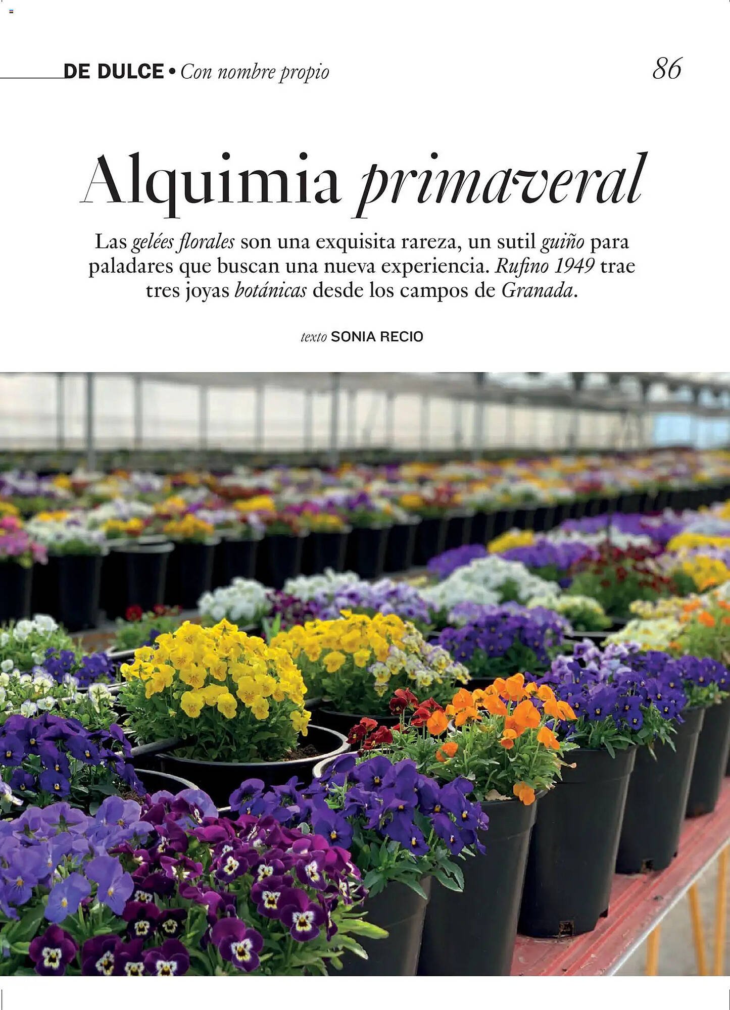 Catálogo El Corte Inglés