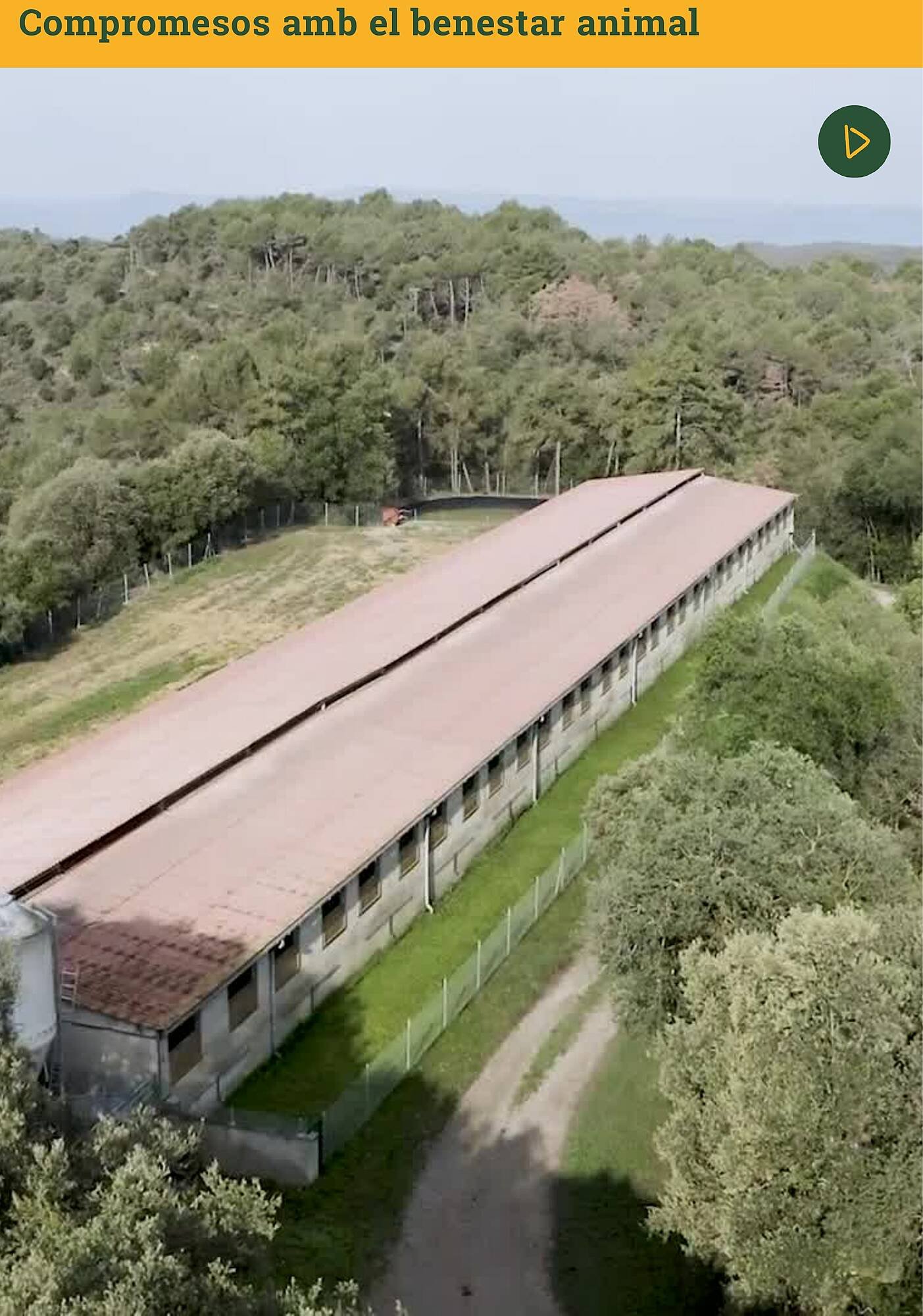 Folleto BonpreuEsclat