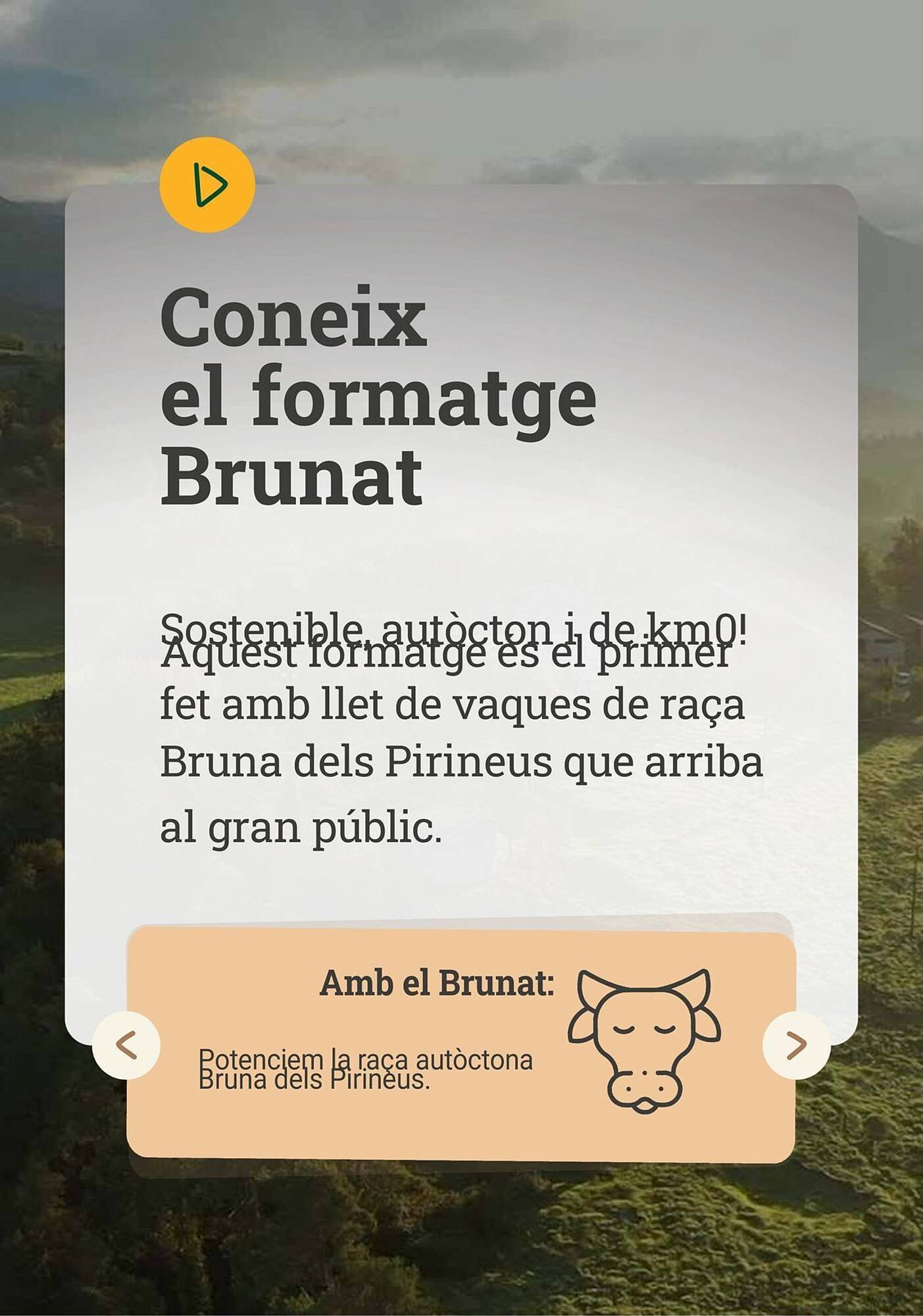 Folleto BonpreuEsclat (2025-10-03 - 2025-10-31)