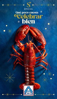 Folleto ALDI (2025-11-24 - 2025-12-25)