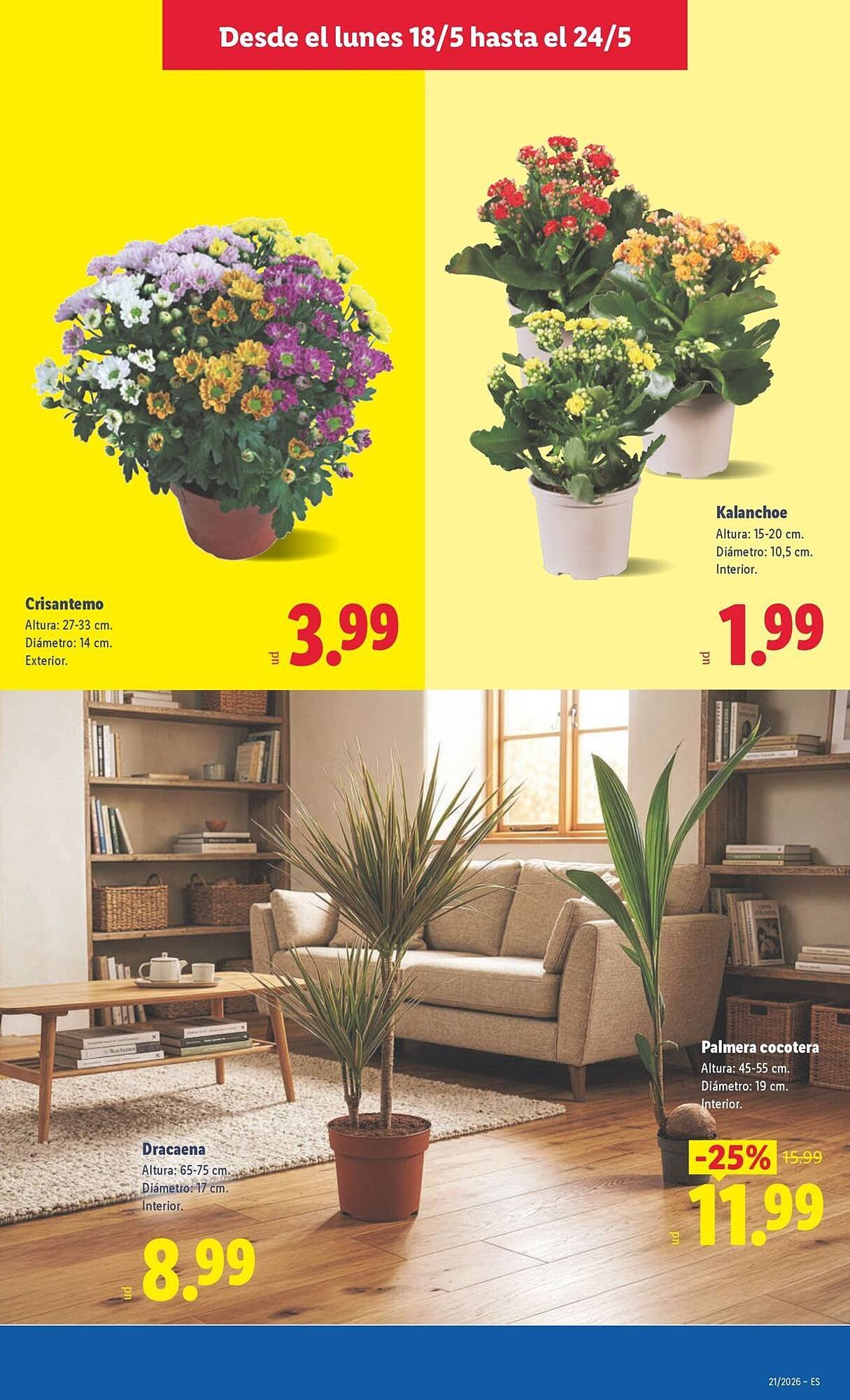 Catálogo Lidl