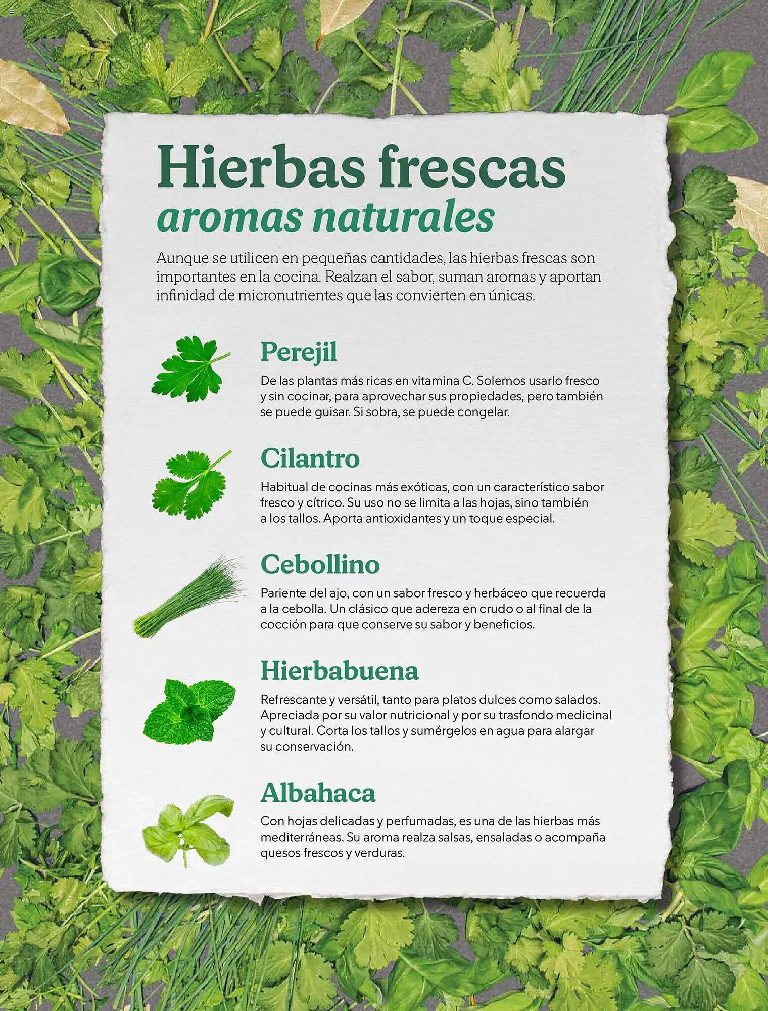 Catálogo Mercadona (2025-12-02 - 2026-01-06)