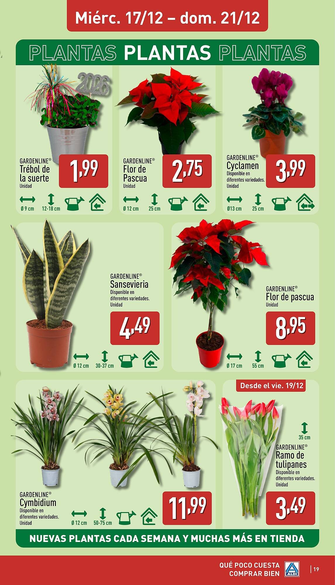 Folleto ALDI (2025-12-15 - 2025-12-21)