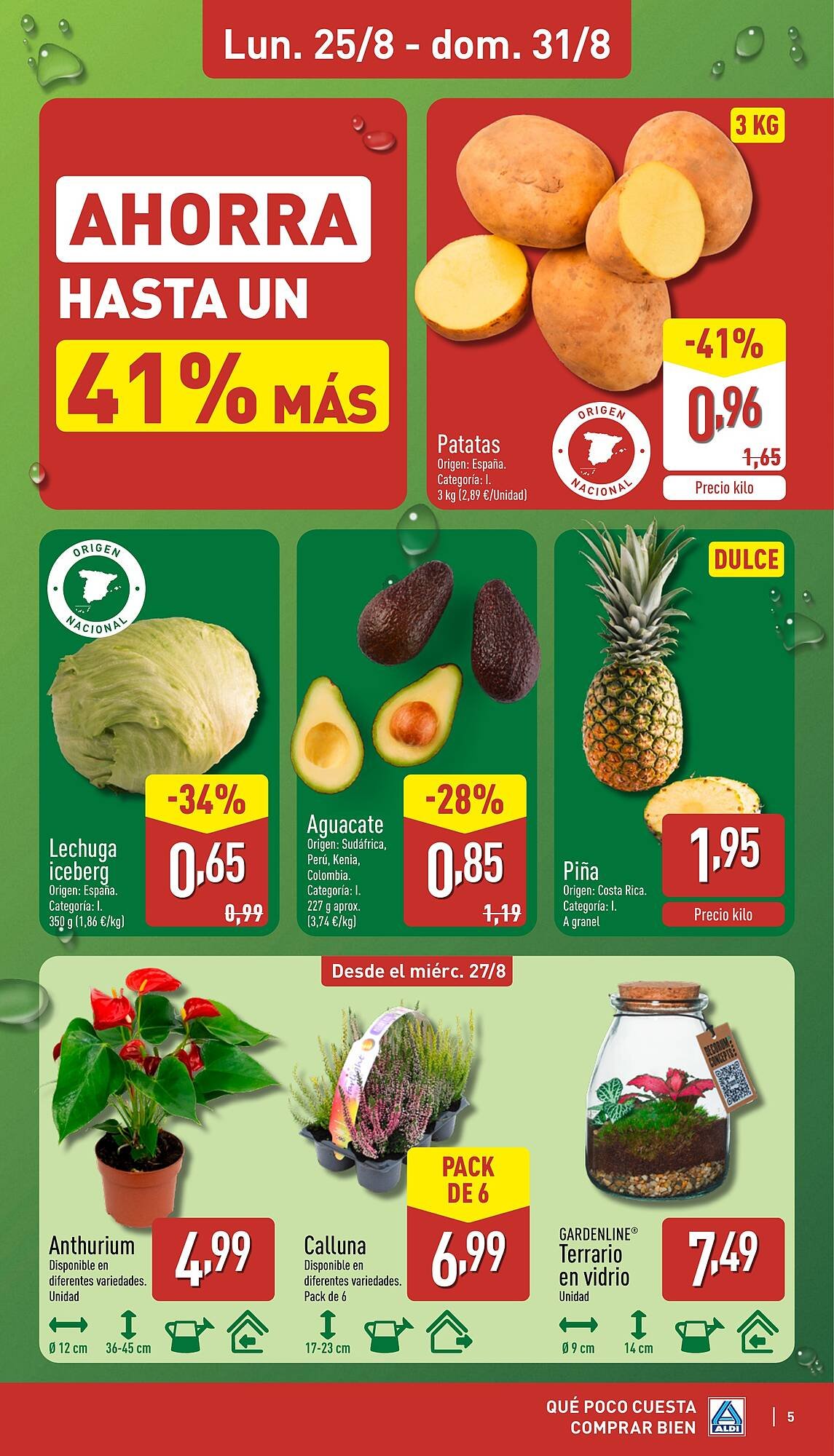 Folleto ALDI (2025-08-25 - 2025-08-31)