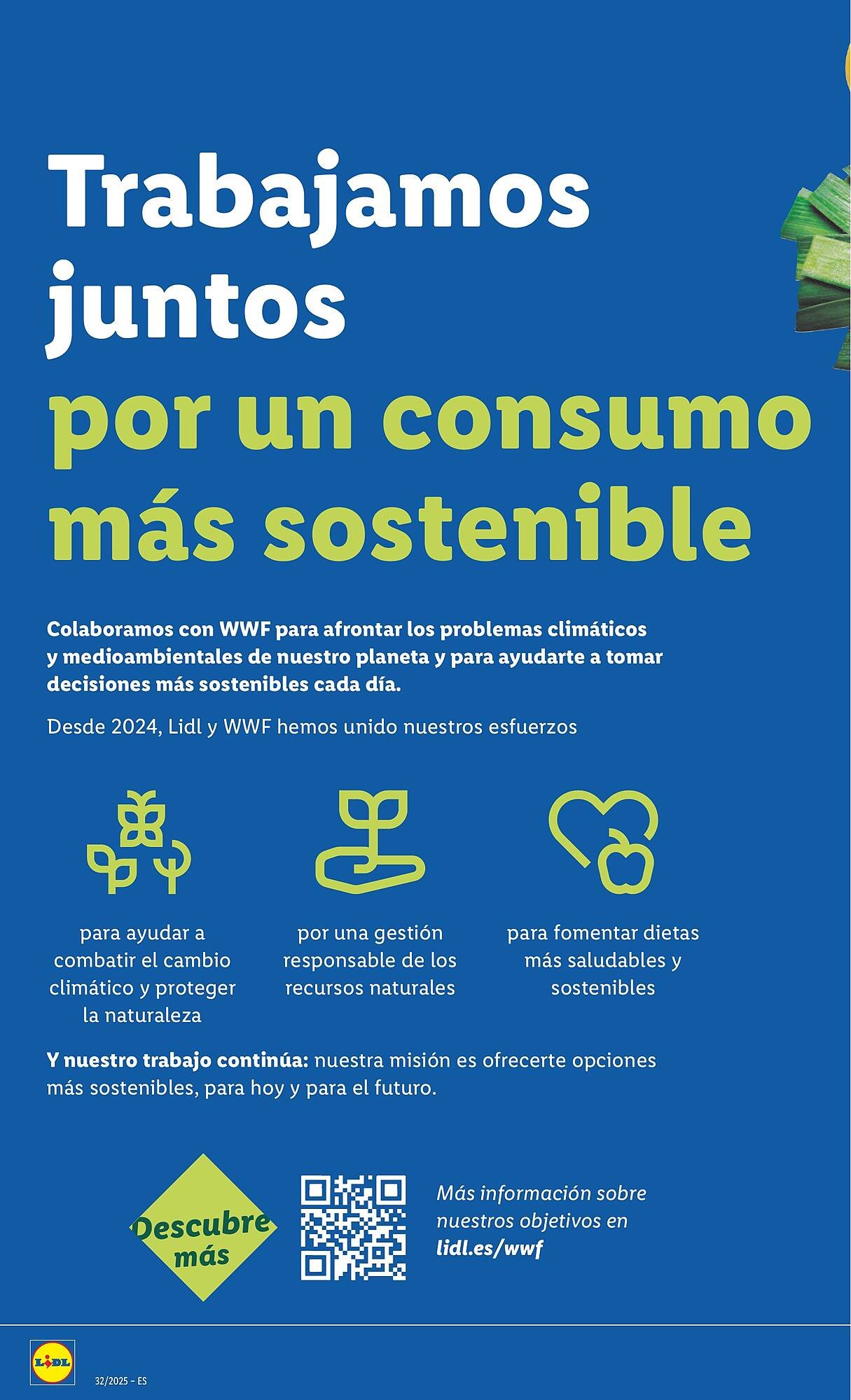 Folleto Lidl (2025-08-04 - 2025-08-10)