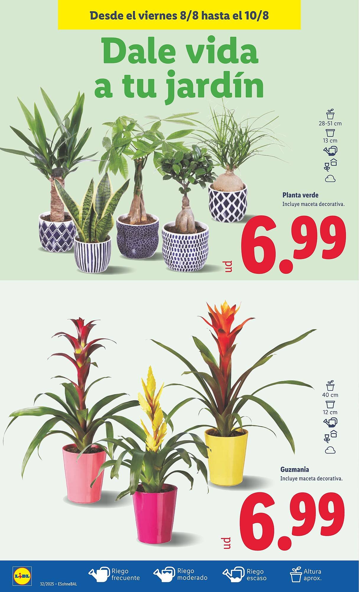 Folleto Lidl (2025-08-04 - 2025-08-10)