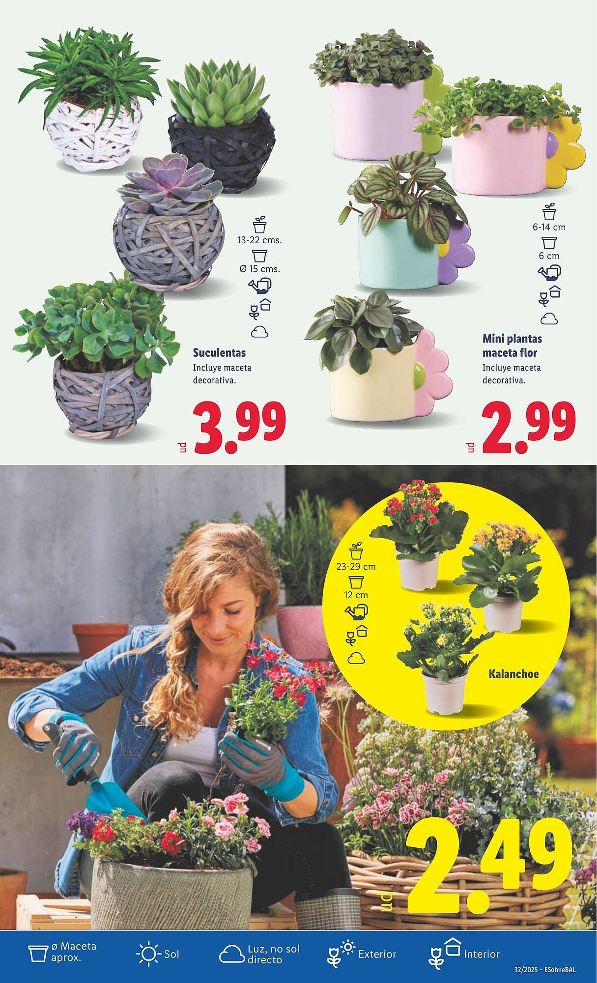 Folleto Lidl (2025-08-04 - 2025-08-10)