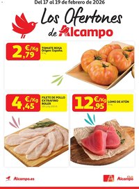 Folleto Alcampo