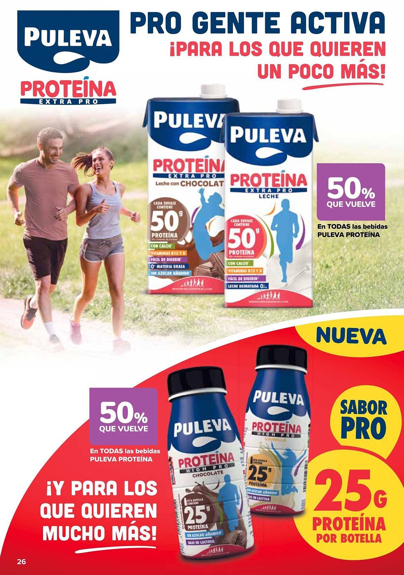 Folleto Carrefour