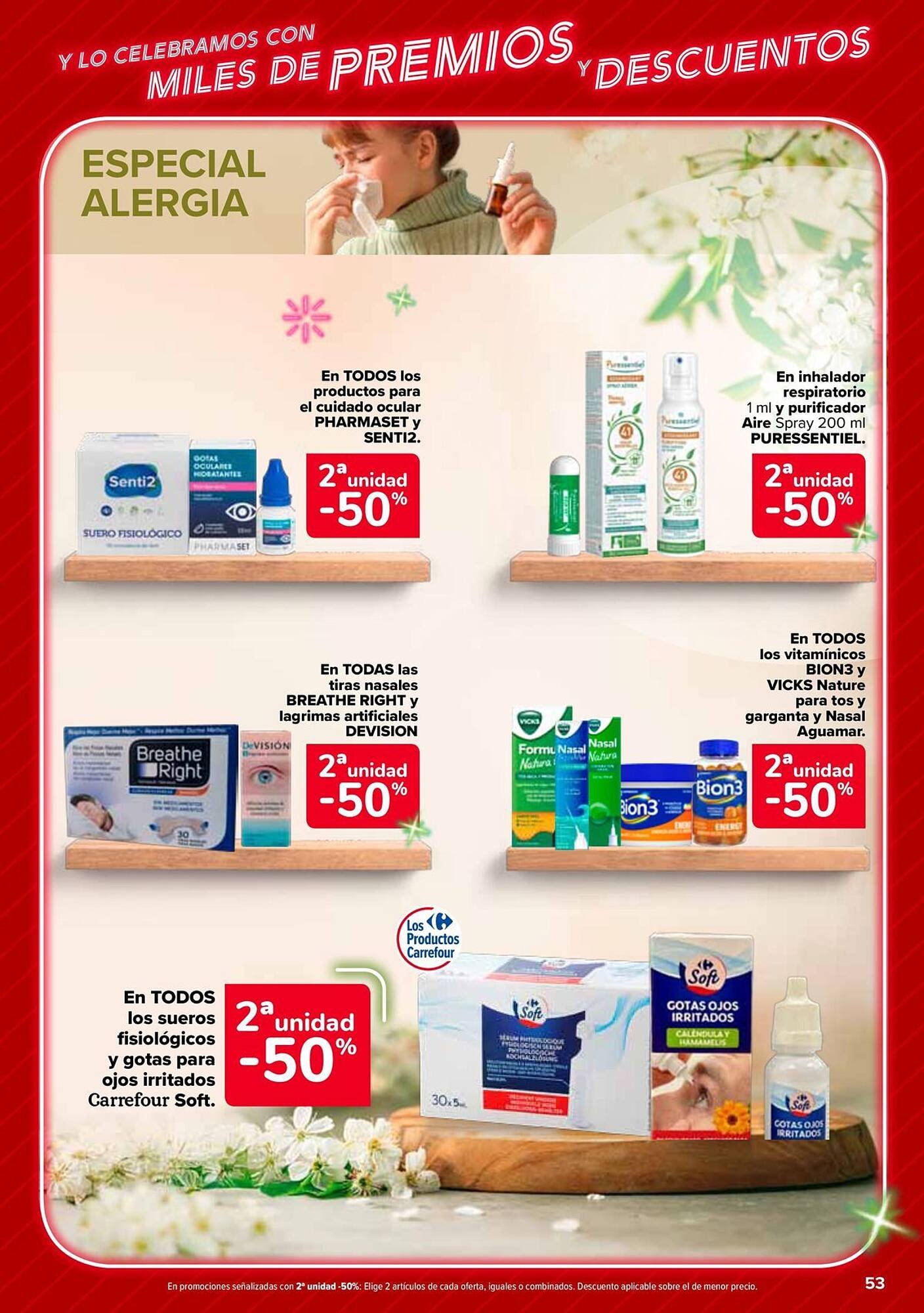 Folleto Carrefour