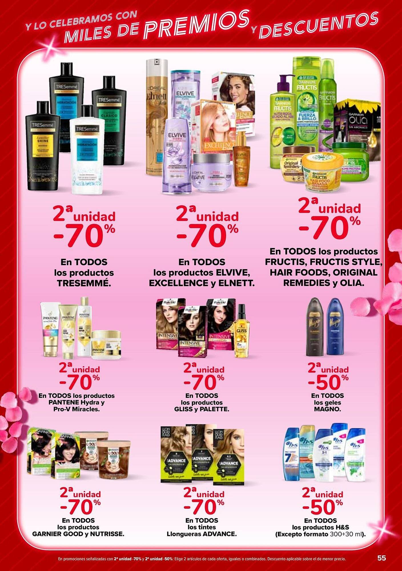 Folleto Carrefour