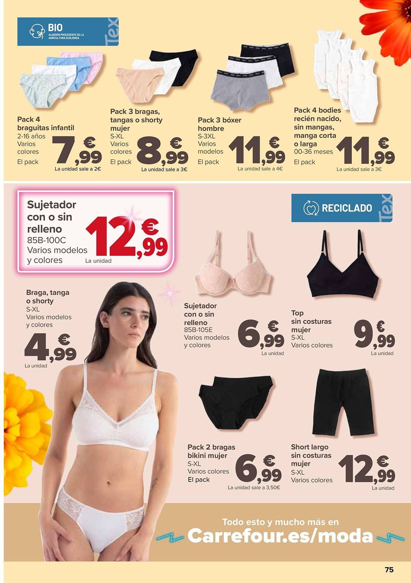 Folleto Carrefour