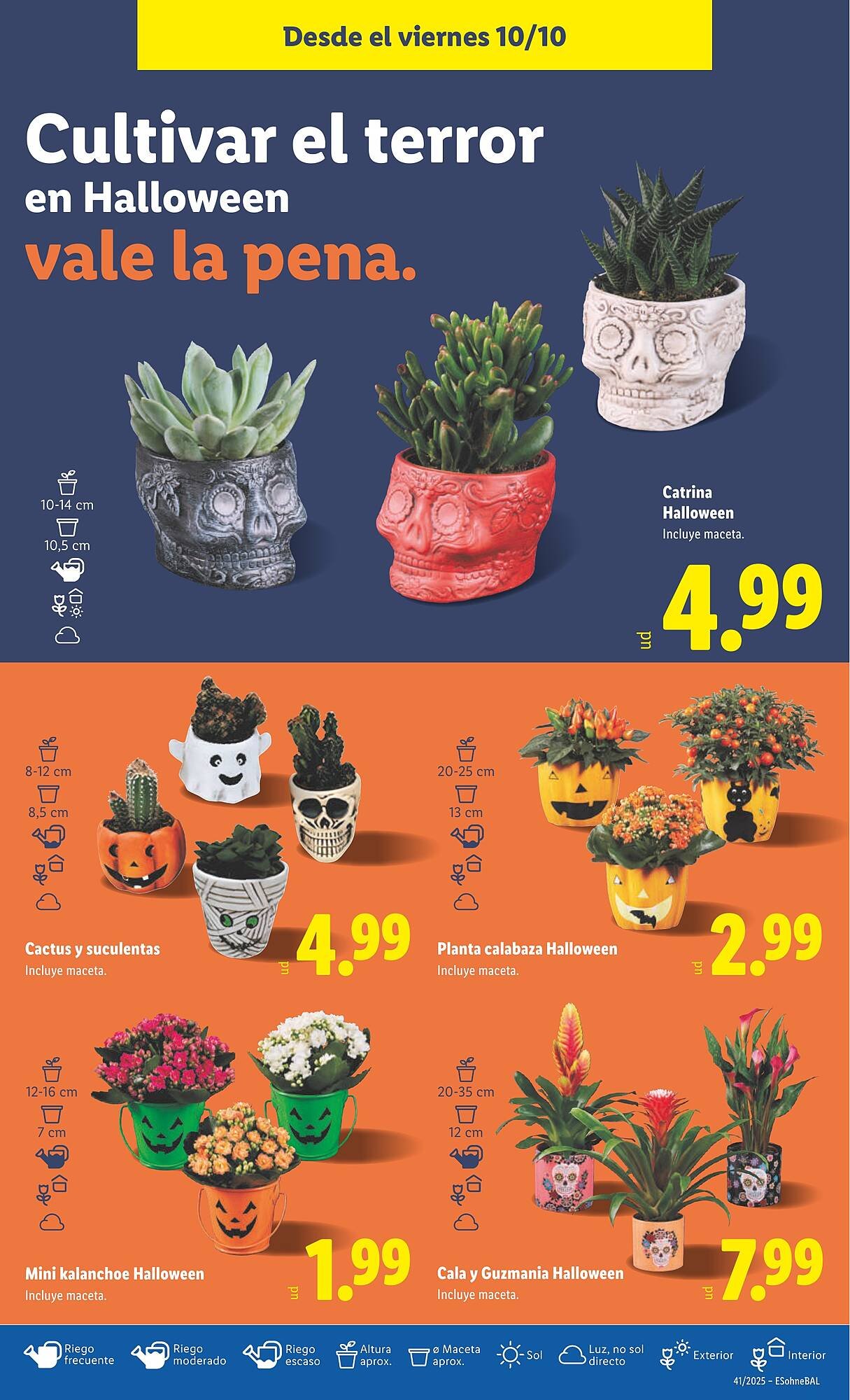Catálogo Lidl (2025-10-06 - 2025-10-12)