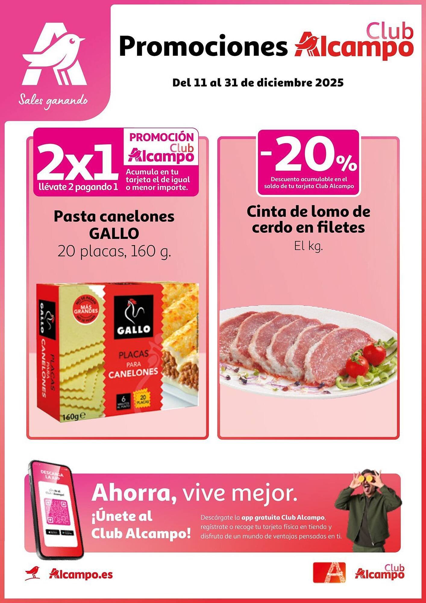 Folleto Alcampo (2025-12-11 - 2025-12-31)