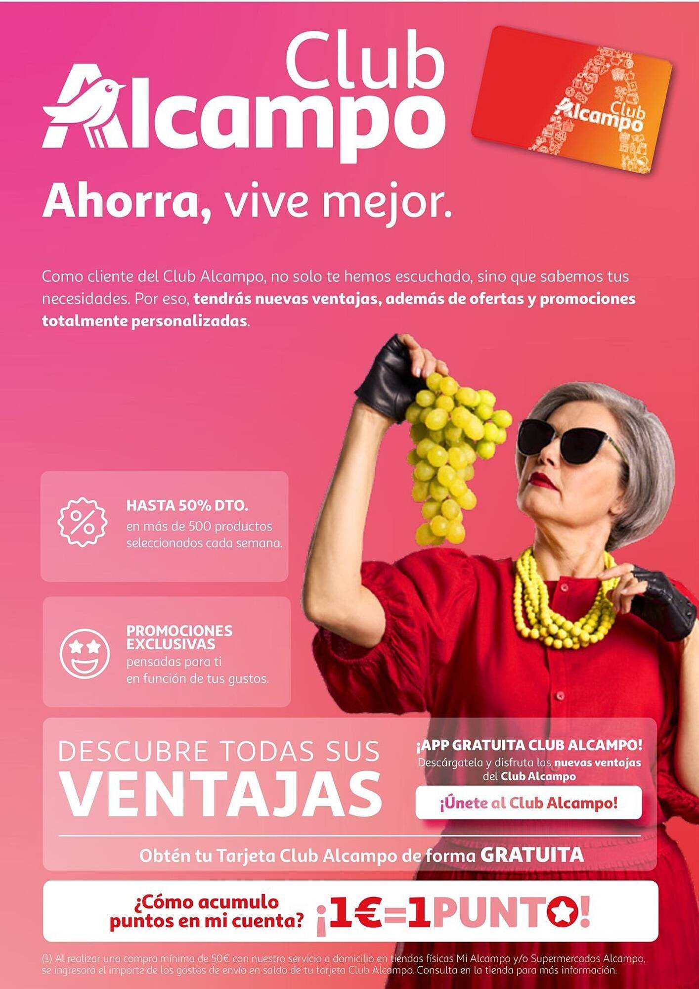 Folleto Alcampo (2025-12-11 - 2025-12-31)