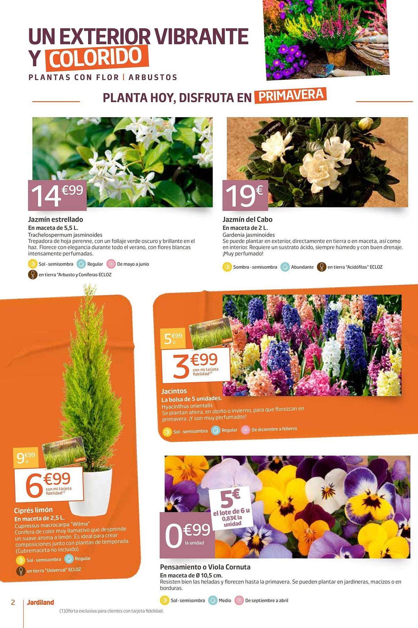 Catálogo Jardiland