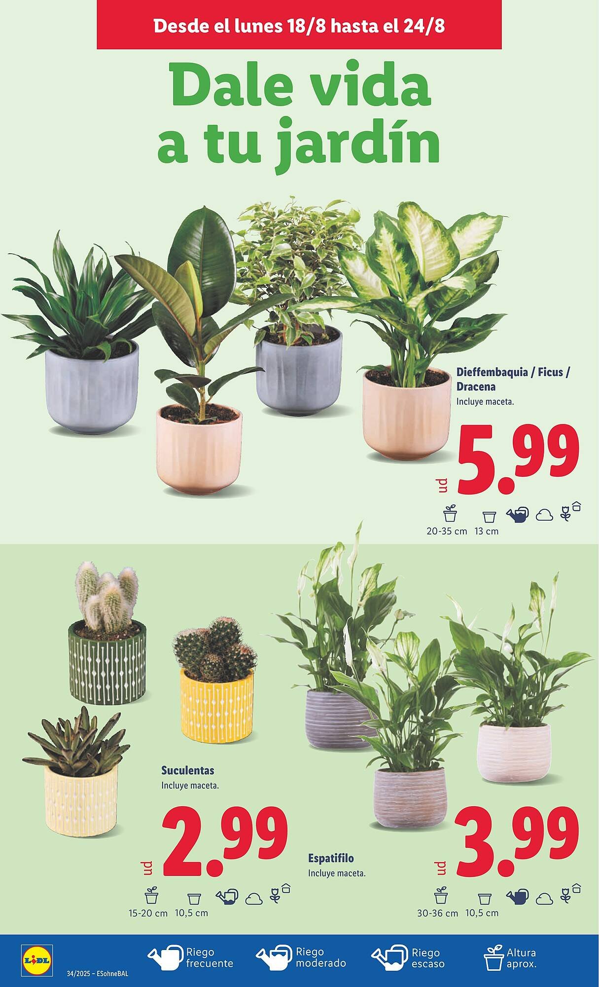 Folleto Lidl (2025-08-18 - 2025-08-24)