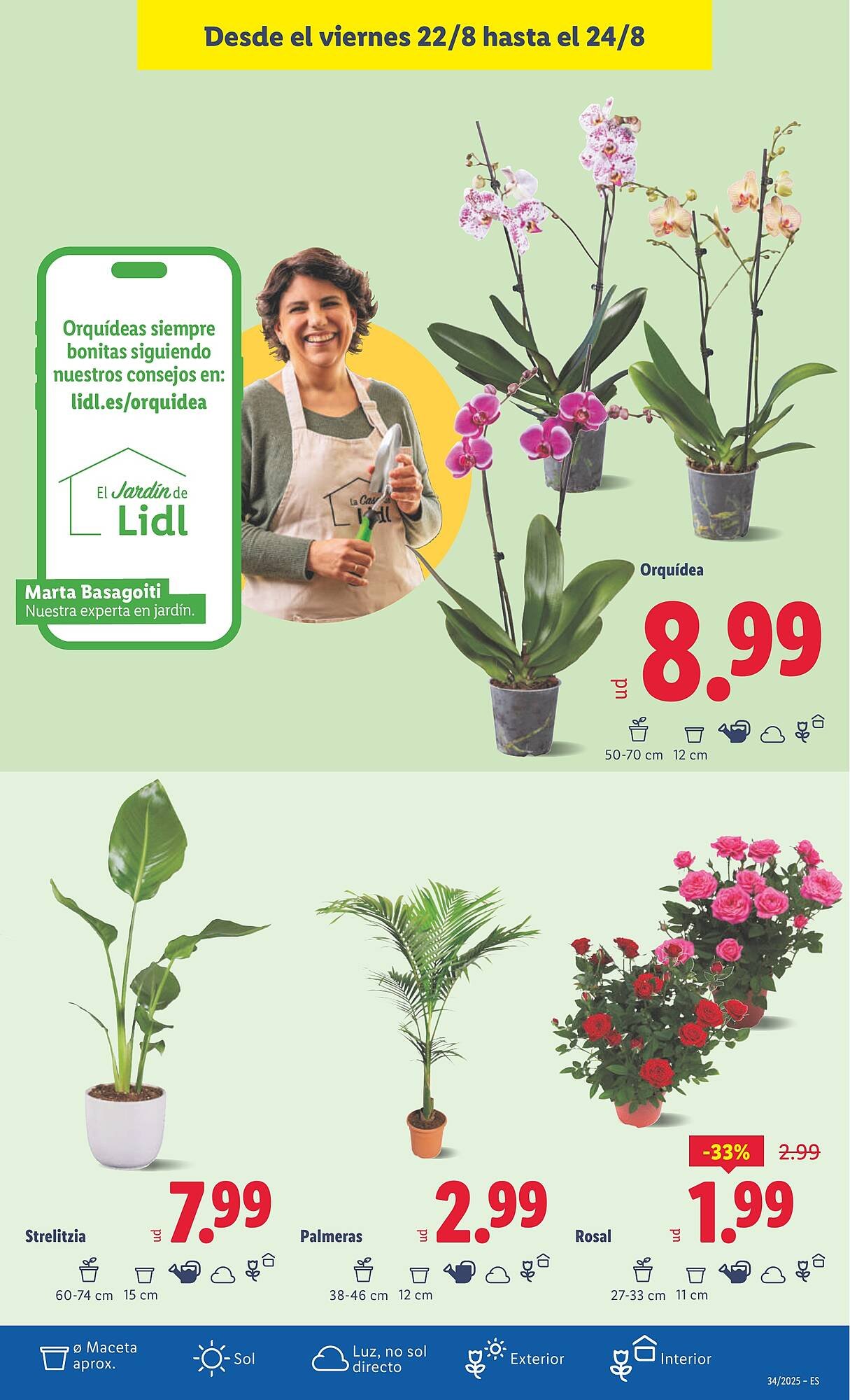Folleto Lidl (2025-08-18 - 2025-08-24)