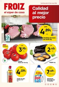 Folleto FROIZ