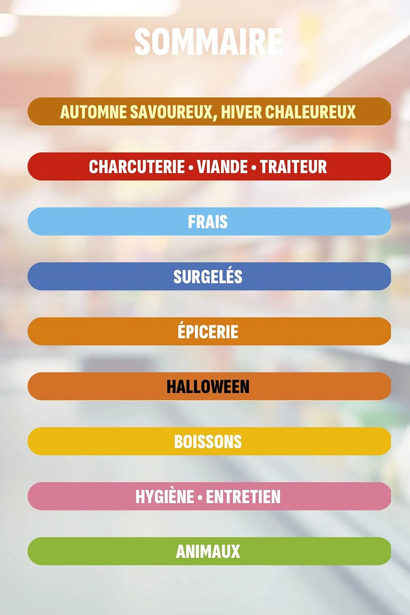 Catalogue Coccinelle Express