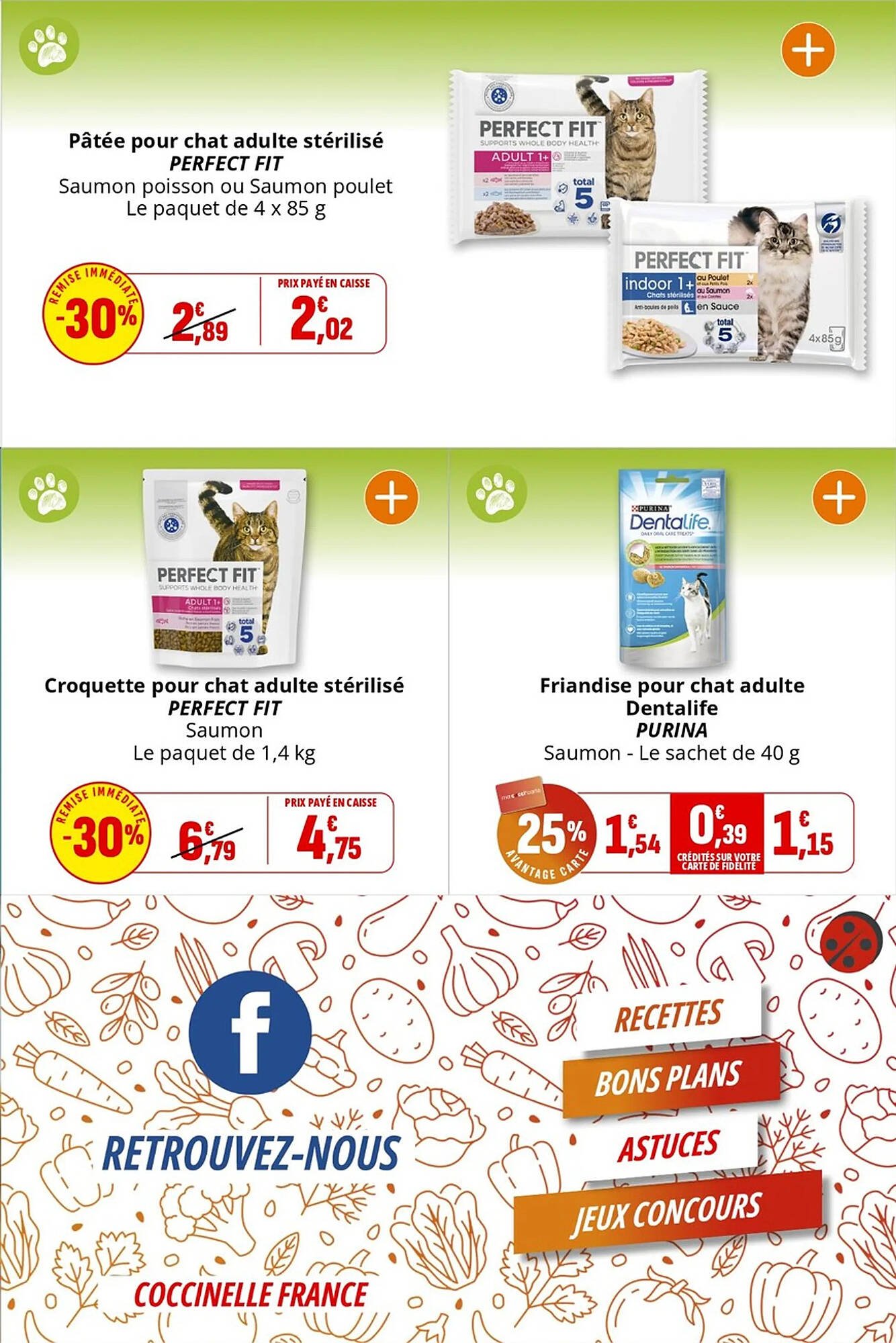 Catalogue Coccinelle Express