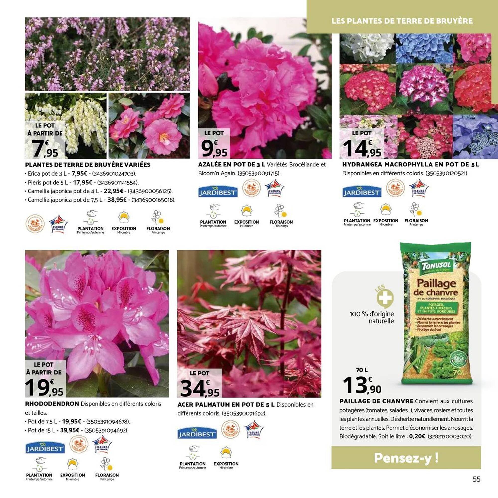 Catalogue Bricorama (2026-04-09 - 2026-05-10)